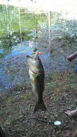 BEAVER CREEK PH 3B - Residential