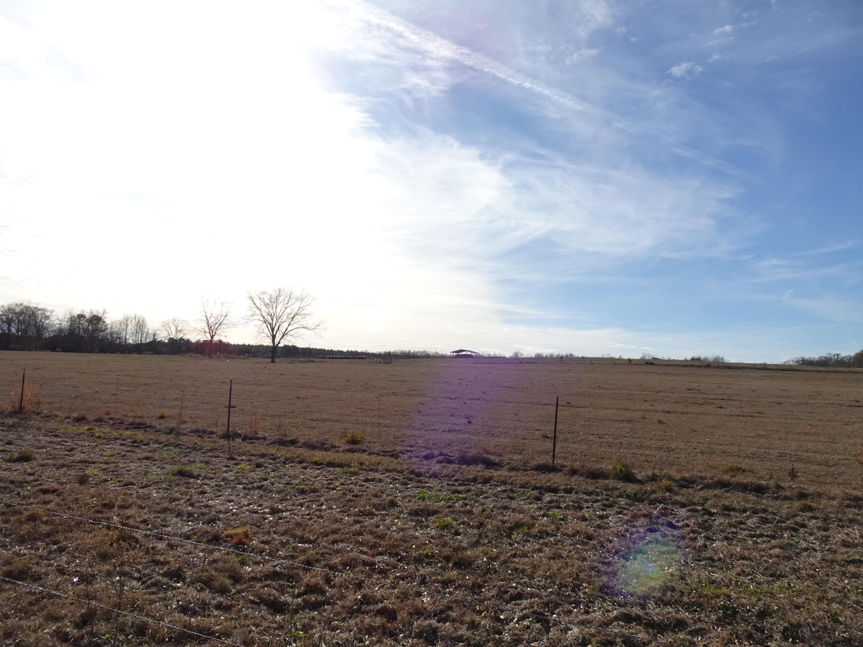 LOCATED JUST OUTSIDE OF FLORALA ALABAMA VERY CLOSE THE STATE LINE. THIS 21 PLUS ACRES IS A GREAT BUY! PROPERTY IS CLEARED, PAVED ROAD FRONTAGE, FENCED, POWER, AND COMMUNITY WATER IS ON PROPERTY AND IS RAN THROUGH THE ENTIRE FRONT TO REAR. LARGE HAY POLE BARN ALREADY IN PLACE ON PROPERTY. AMAZING HOME SITES ON TOP OF THE HILL. EASY COMMUTE TO CRESTVIEW AND EGLING AFB. GREAT PLACE IN THE COUNTRY TO CALL HOME!