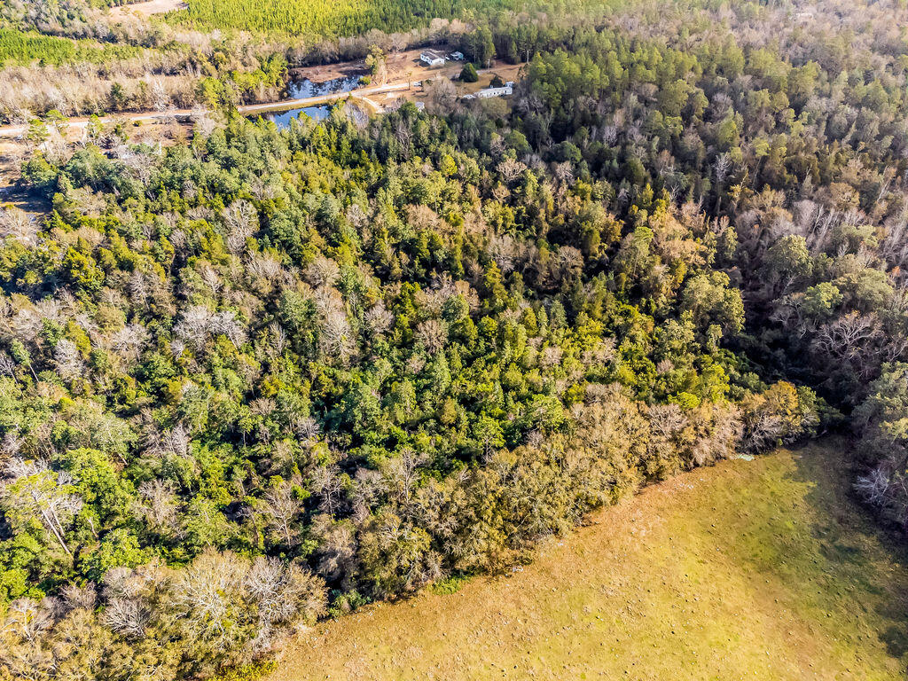 NONESUCH WAY - Residential