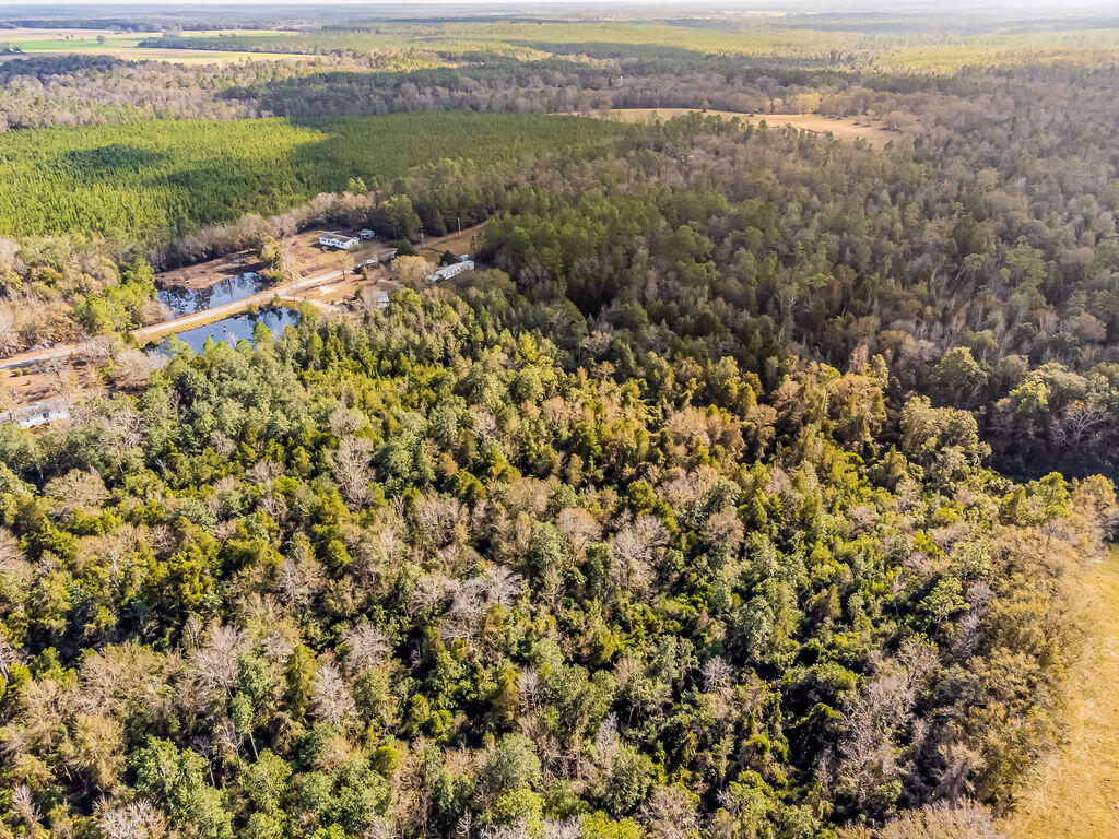 NONESUCH WAY - Residential