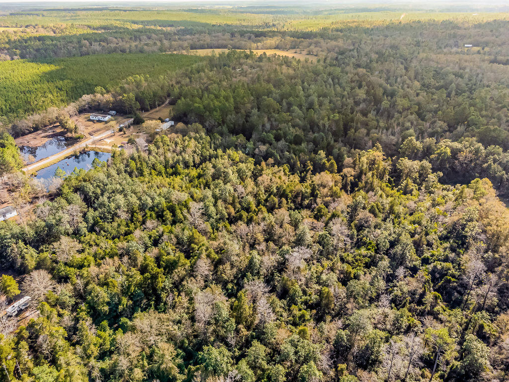 NONESUCH WAY - Residential