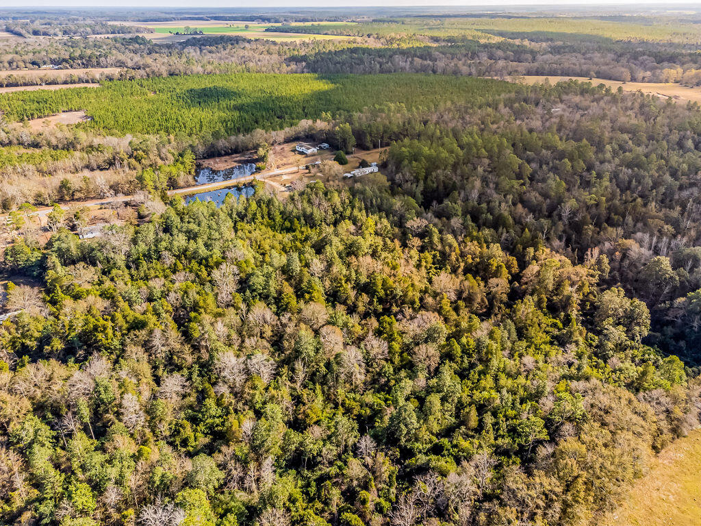 NONESUCH WAY - Residential