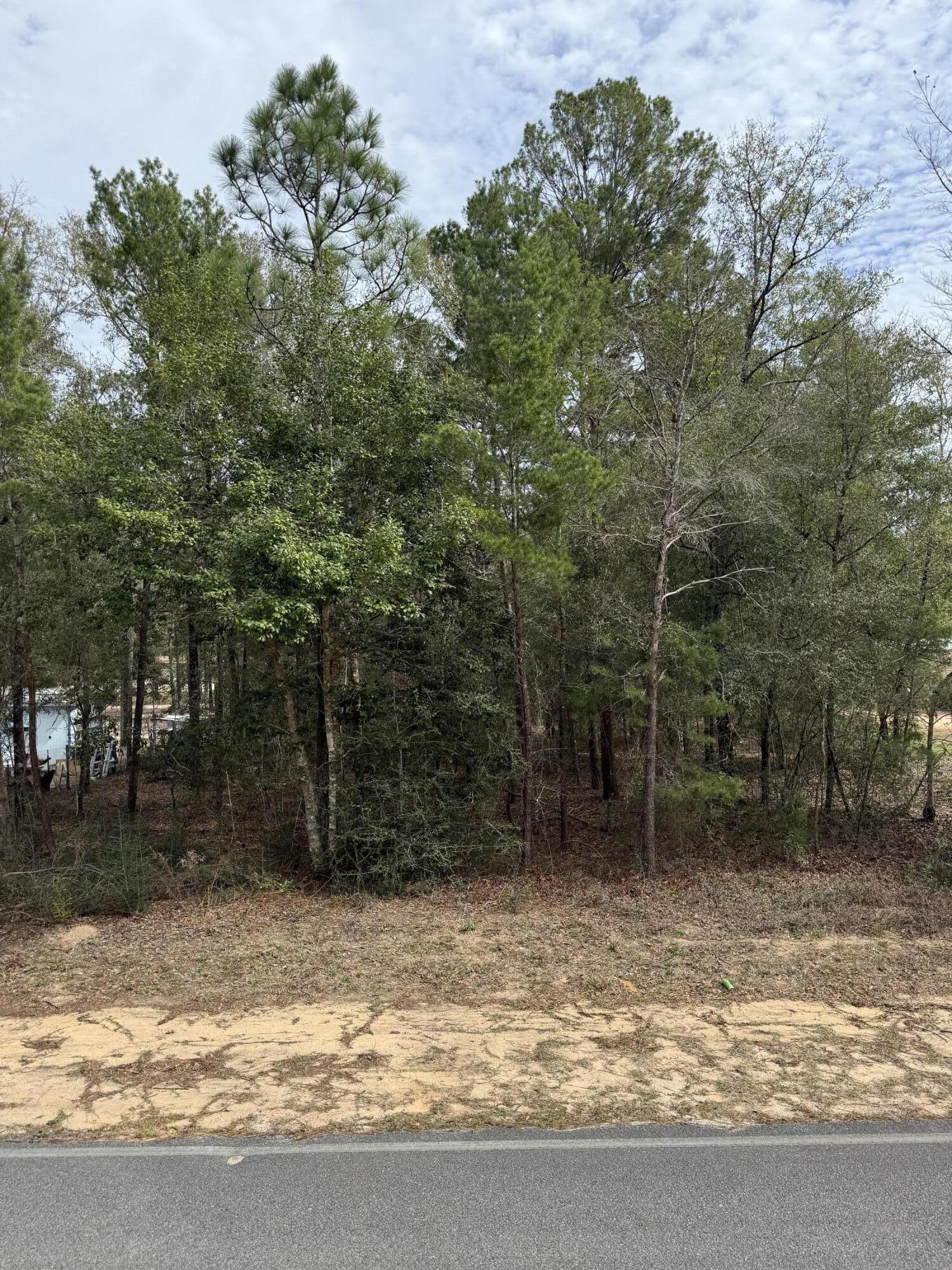 Ideal for new construction or a mobile home, this 0.386-acre lot in DeFuniak Springs is a rare find! Located on a paved road with electric and public water available, this high-and-dry property is ready for development. Enjoy the tranquility of a residential setting while staying just minutes from historic downtown, parks, shopping, and schools. Whether you're planning to build your dream home or invest in land, this lot offers unlimited potential in a rapidly growing area. Secure your piece of charming Defuniak Springs today!