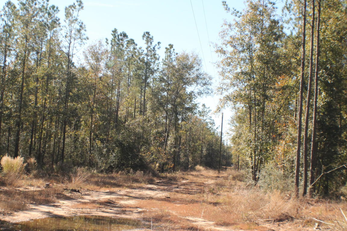 MILLERS BLUFF - Land