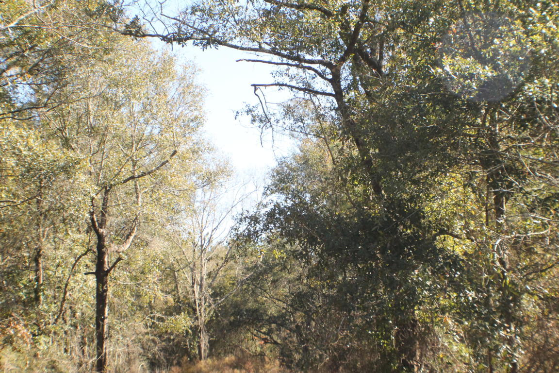 MILLERS BLUFF - Land