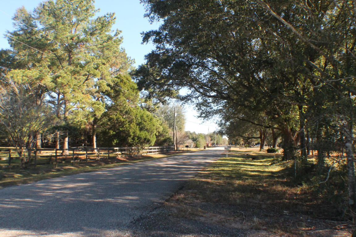 MILLERS BLUFF - Land