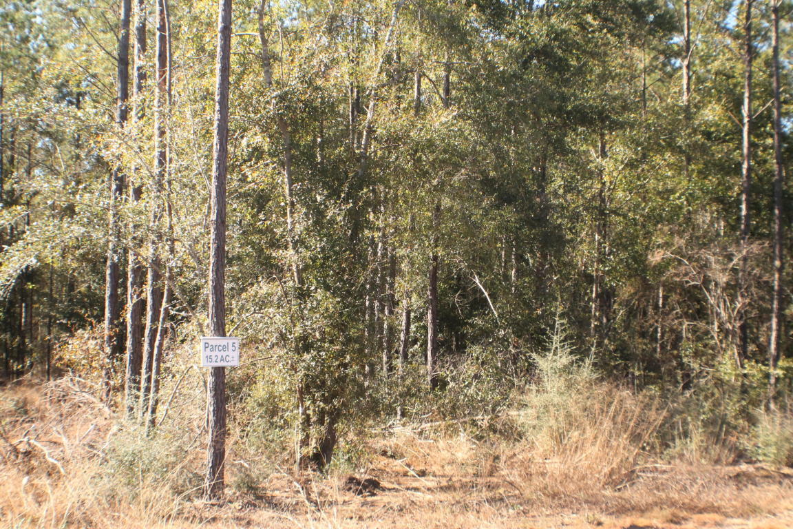 MILLERS BLUFF - Land