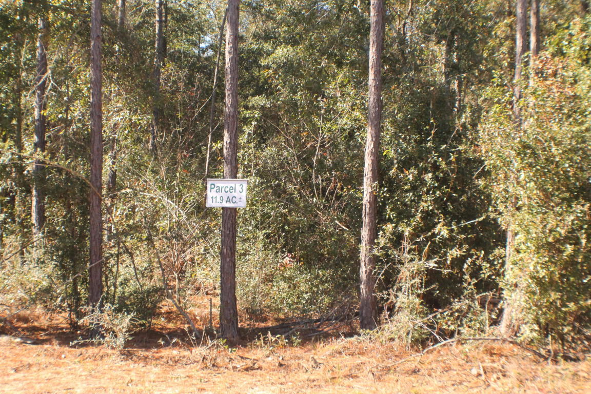 MILLERS BLUFF - Land