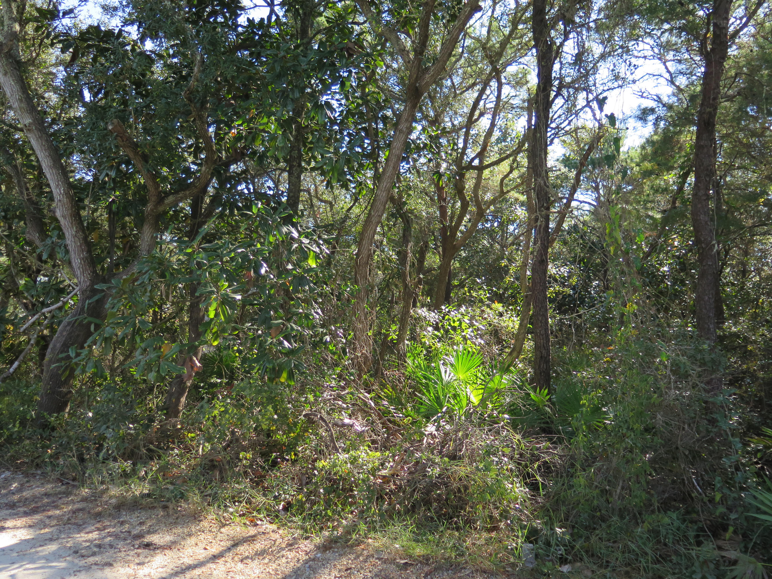 SEAGROVE 3RD ADDN - Land