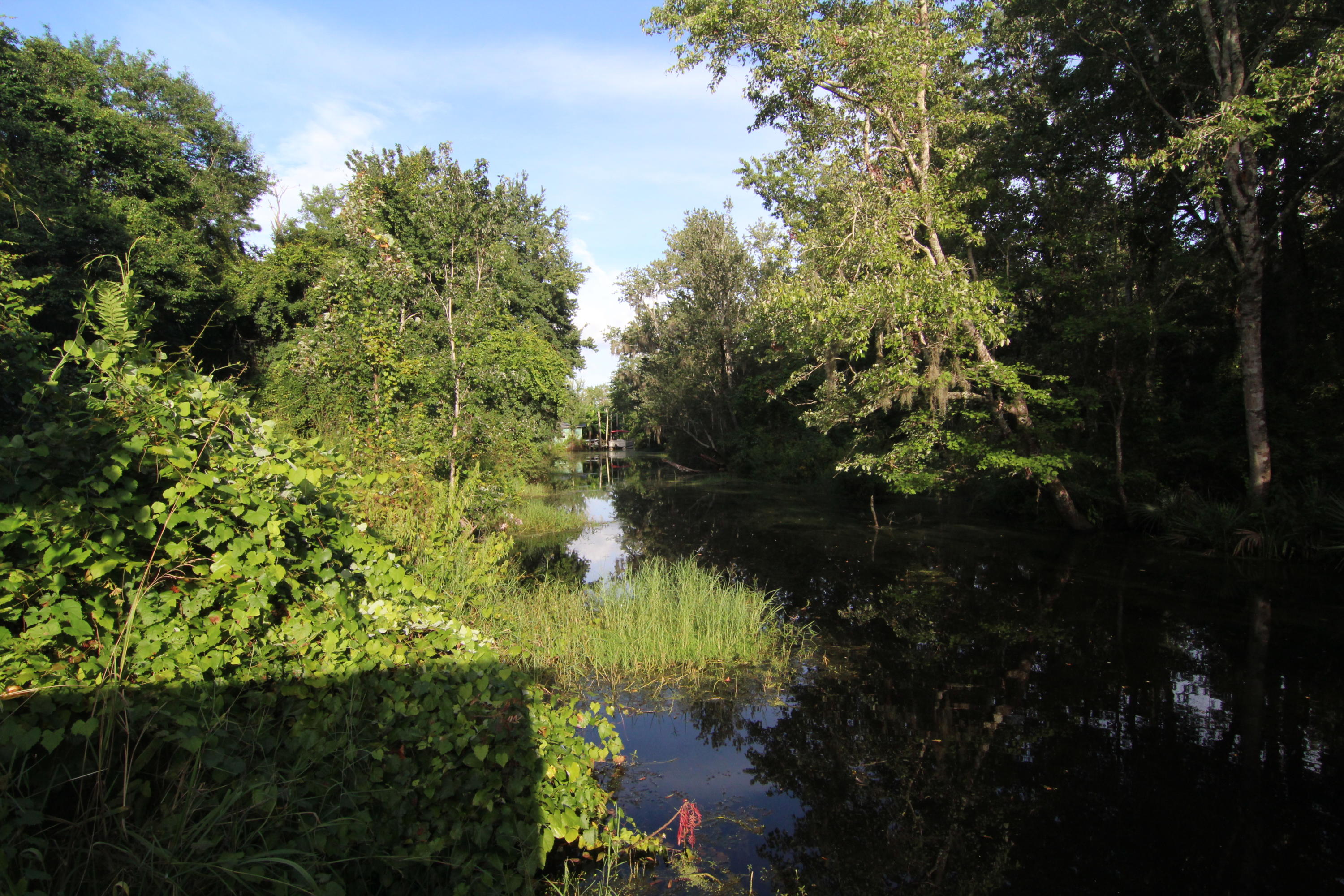 WATERFRONT LOT! Located on protected water with access to Black Creek and the Bay. Minutes from downtown Freeport, South Walton and the beaches. Don't miss this opportunity to own waterfront.