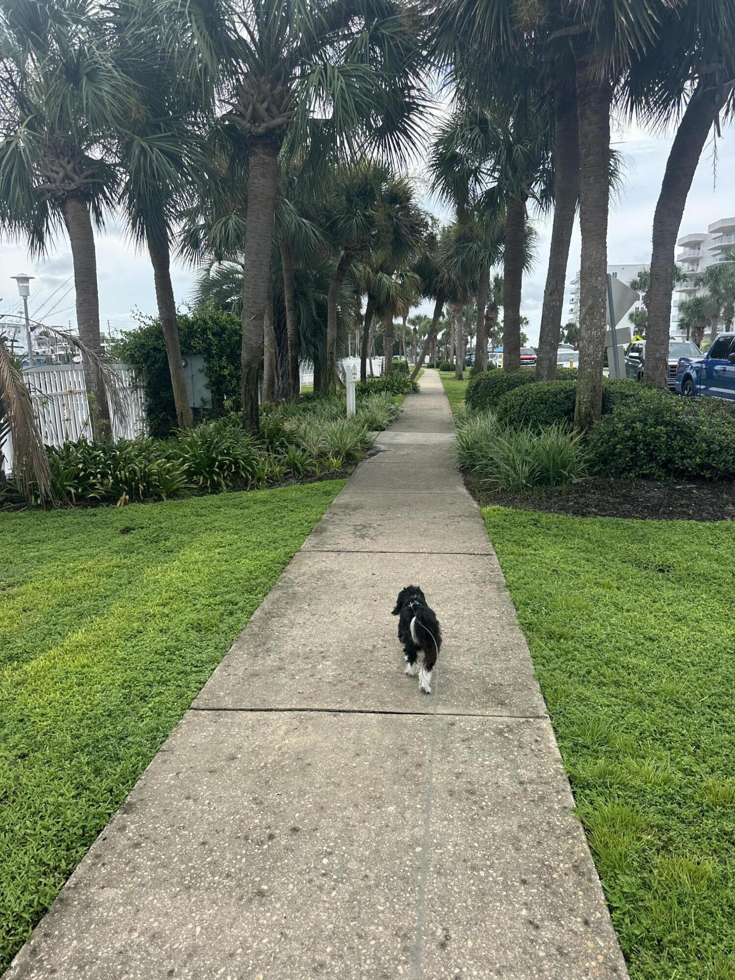 EAST PASS TOWERS CONDO - Residential