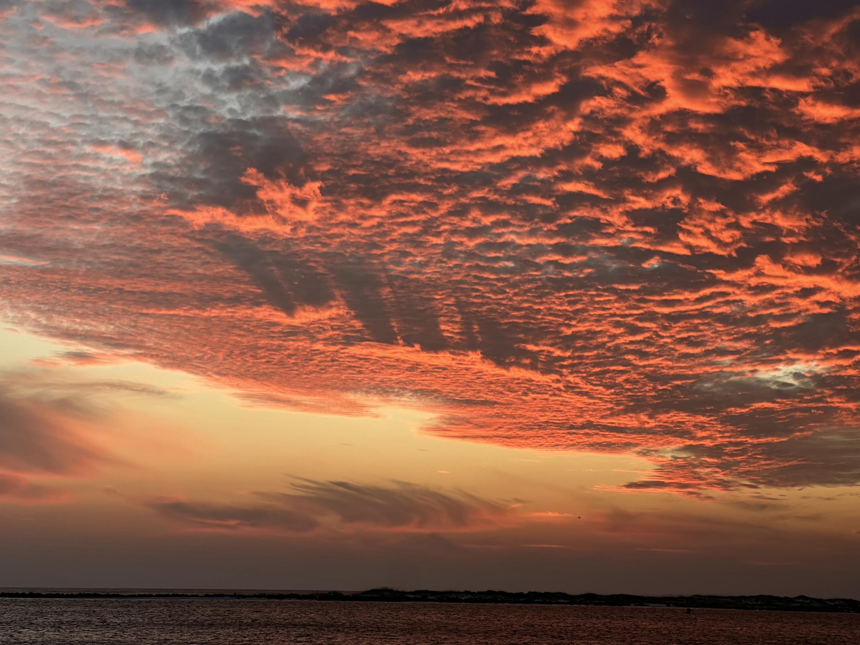 EAST PASS TOWERS CONDO - Residential