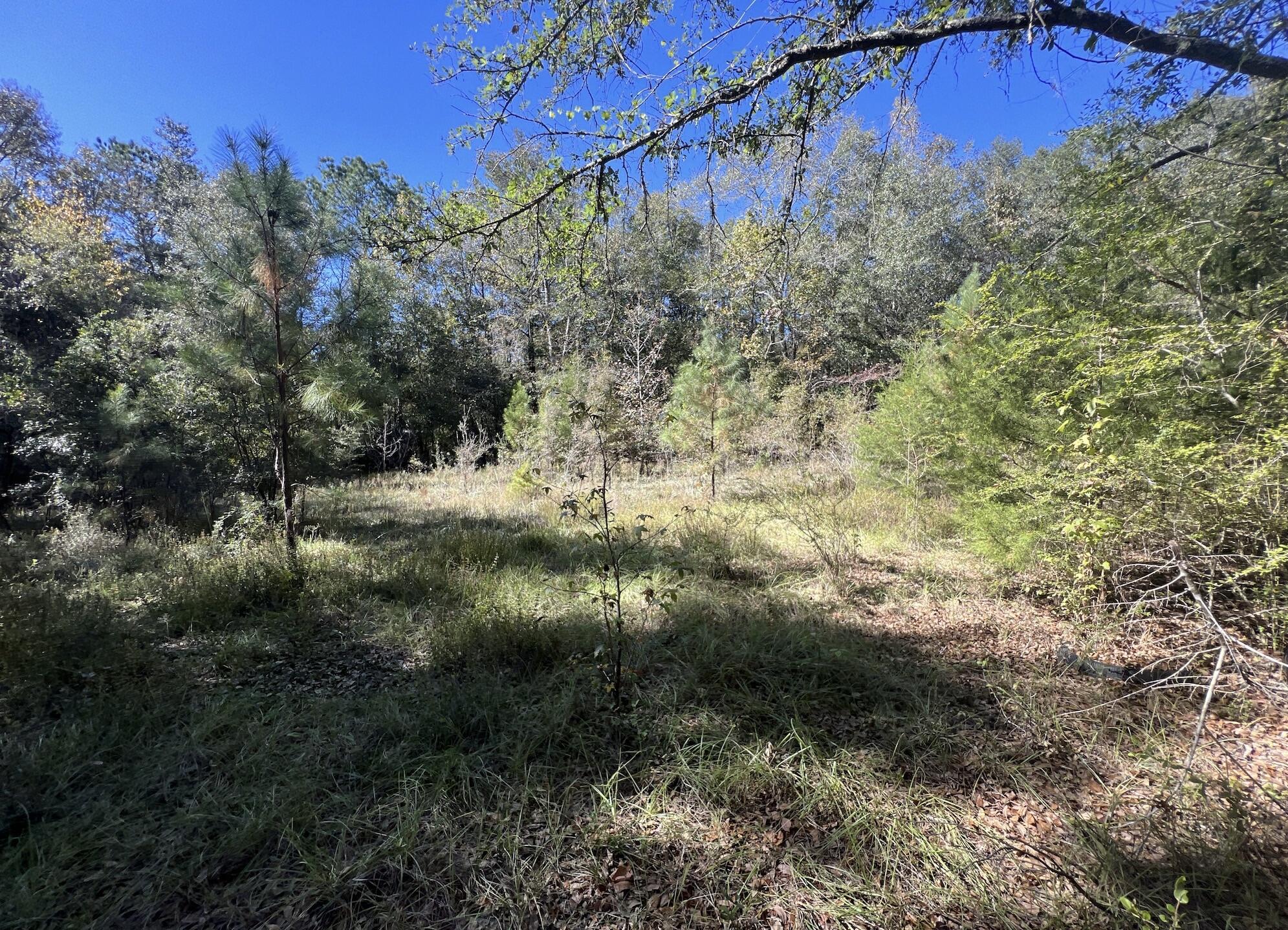If country living is your plan, then this REO land is for you. Bring your plans! This large rectangular wooded lot is just under 5 acres, a short distance to 1-10 and full of options. Attractively priced, this one won't last long! Call today before it's gone.