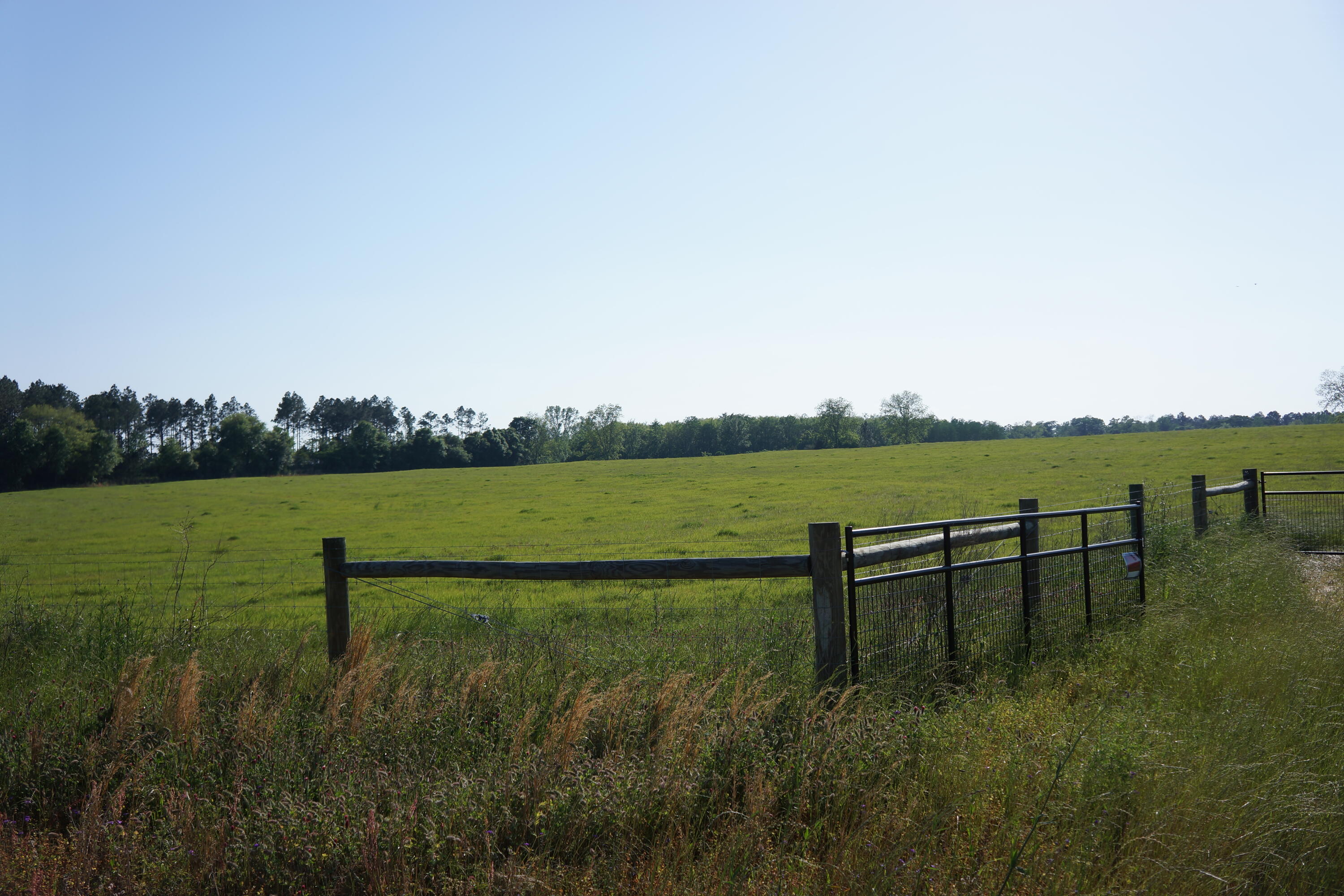 Beautiful cleared parcel of land with 998 ft. road frontage on paved Hwy 393 offers endless possibilities. Located just 15 minutes north of Hwy 90 and 2 minutes south of Hwy 85 N. The 28.57 acres of manicured Alecia hay is high and dry, with 2 double gates to the completely fenced property. The two gate entry ensures safety and security for  pets or livestock you may have. A professionally installed 5,000 sq.ft steel barn with an attached lean to is located at the front right corner of the property and has power and water available.