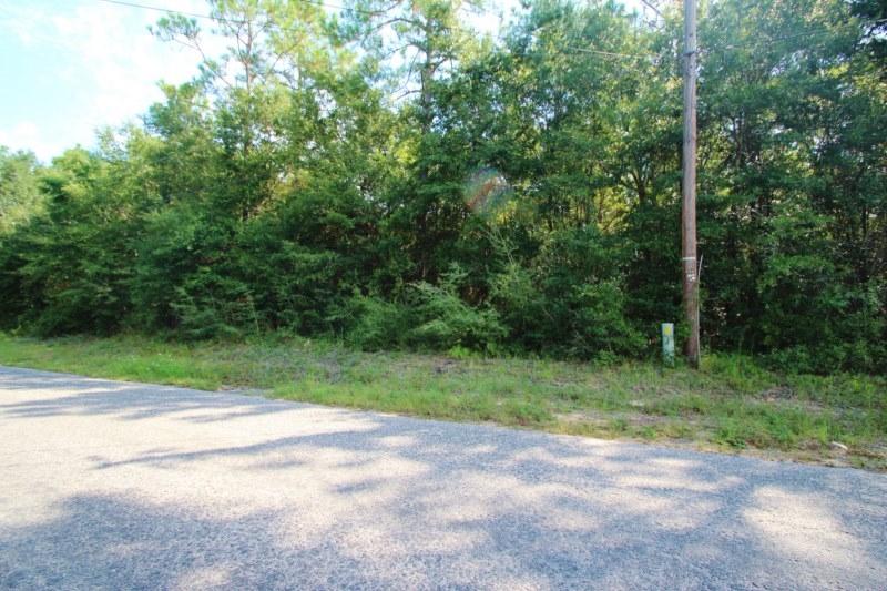 PRICED UNDER APPRAISAL!!! Large wooded lot on Lake Dr. Great for building. The extreme rear of the property may have some wetlands but there is plenty of land toward the front to build your home in among the trees and still have lots of privacy!