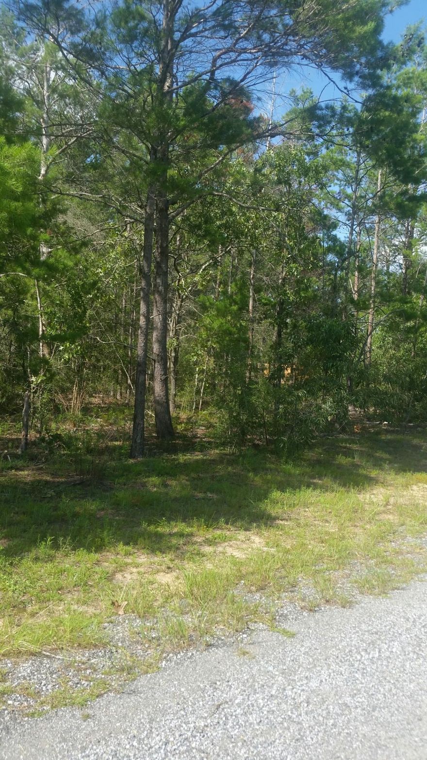 Beautiful wooded lot located in Mossy head just minuets away form Hwy 285/Interstate exchange. Lot measurements subject to an up to date survey.