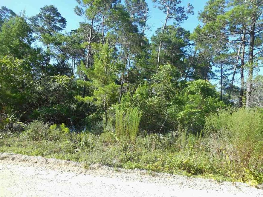 Located on the north side of 30A near blue mountain. This lot is close to lots of restaurants and shopping along 30A. A great street to build your beach home. Two public beach accesses are close by!***Buyer is responsible for personally verifying details about this property. Any information contained in this listing is believed to be accurate but is not guaranteed.***