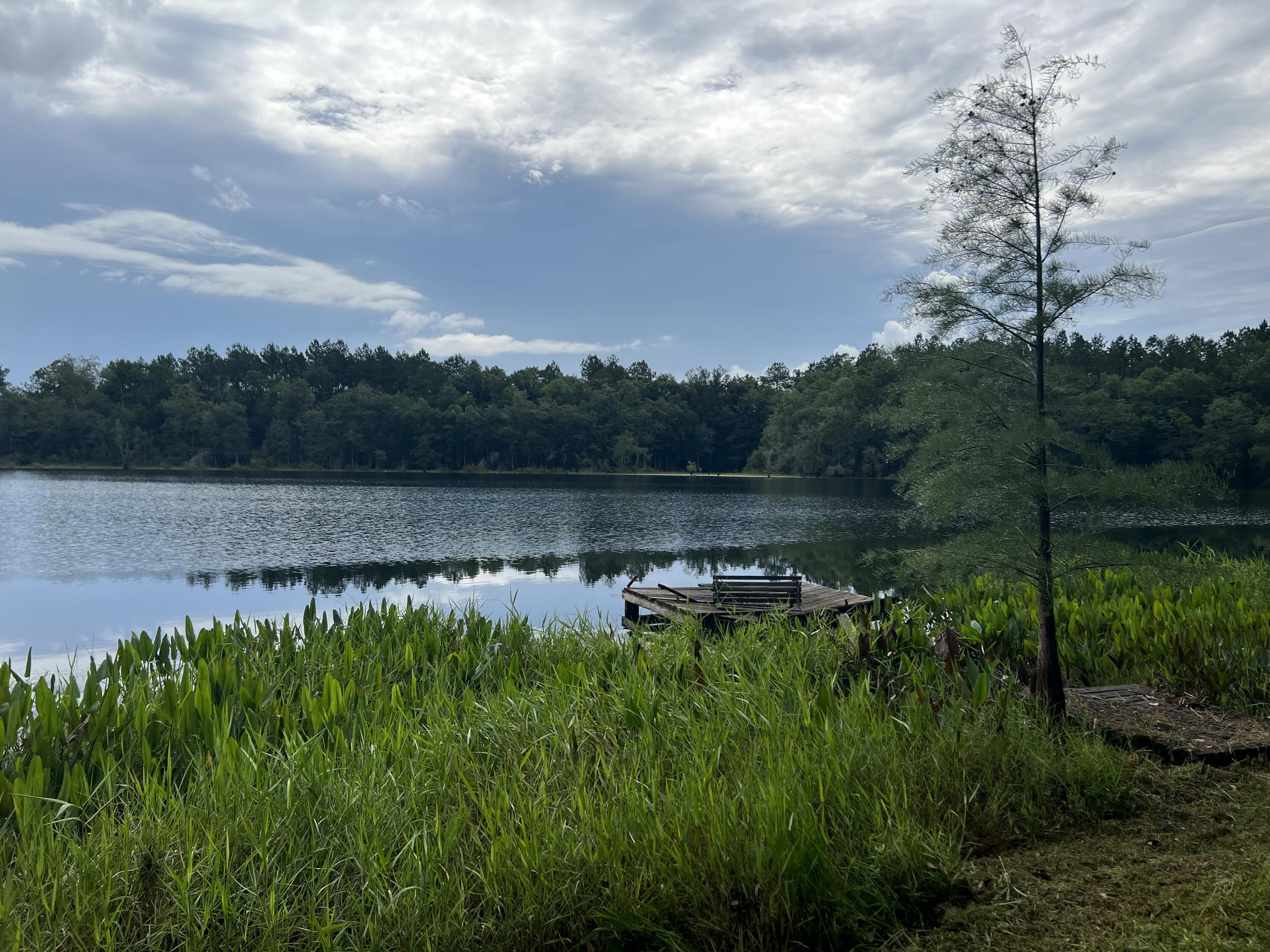 Redbug lane - Residential