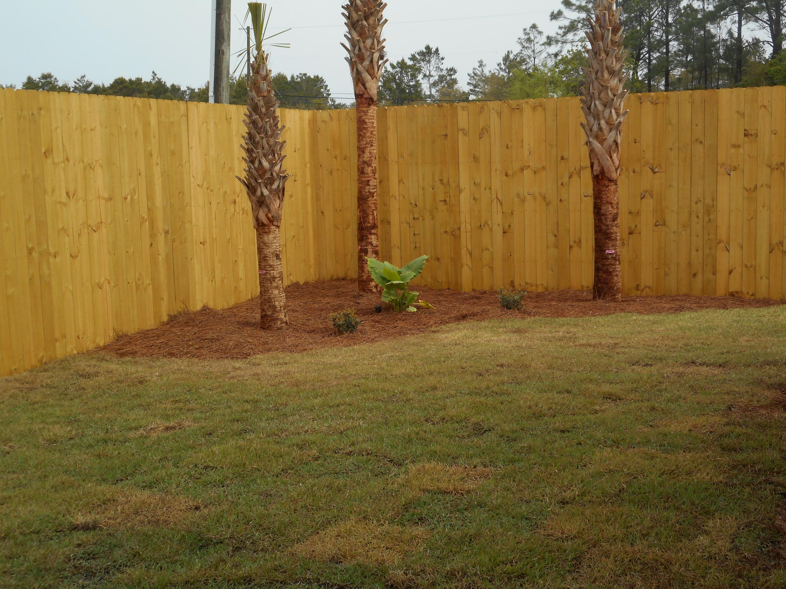 JAMAICAN LAKE CONDOS - Residential