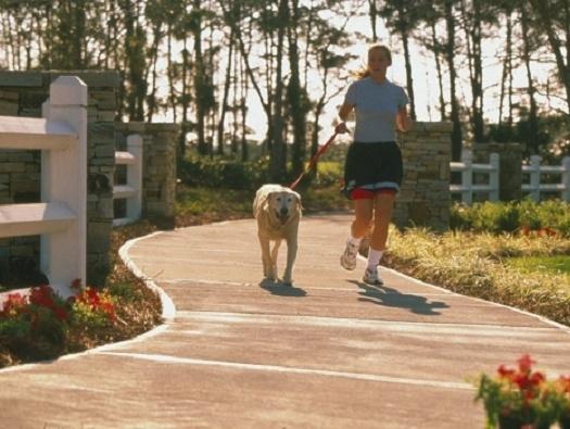 KELLY PLANTATION S/D - Land