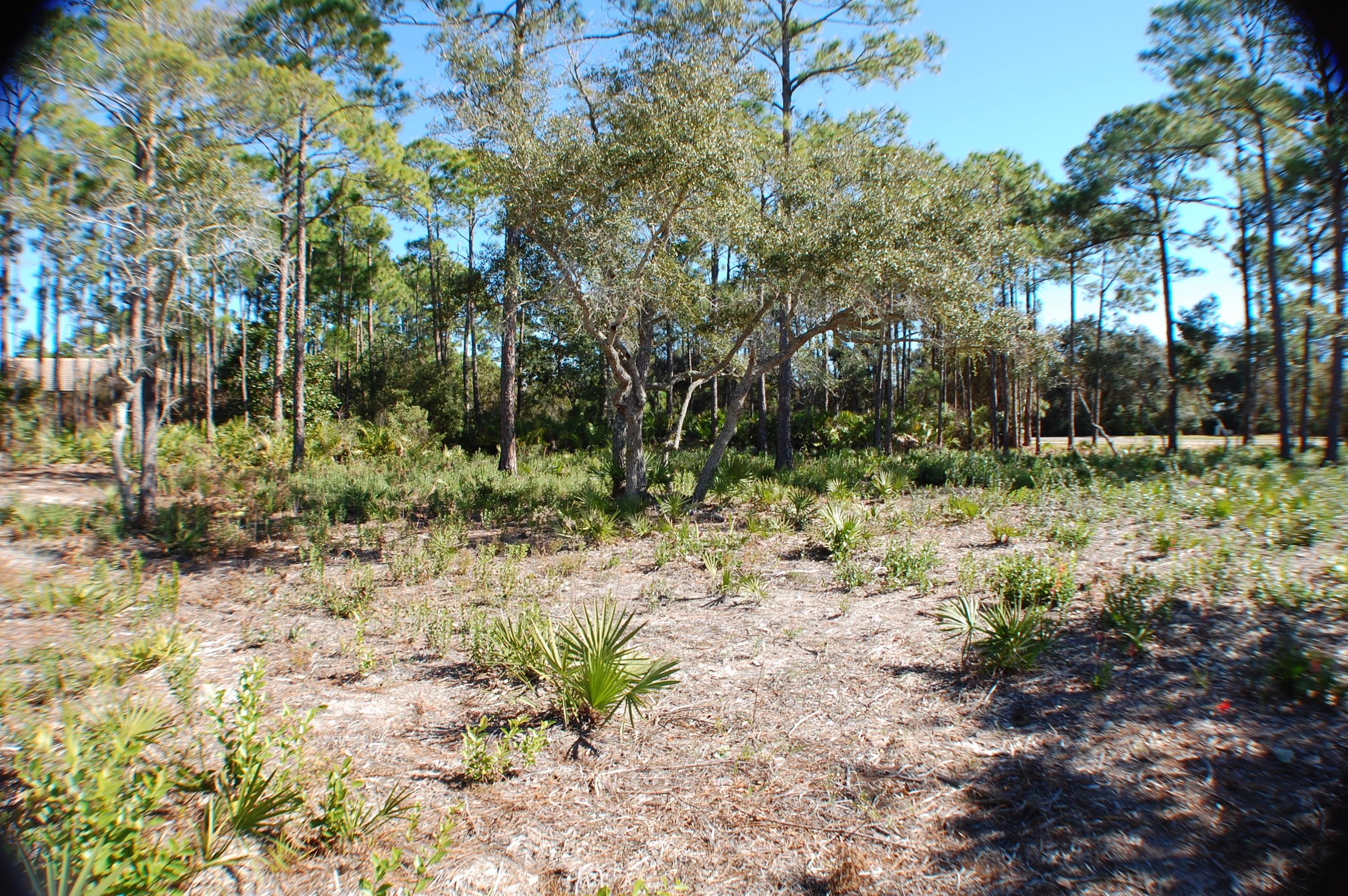 KELLY PLANTATION S/D - Land