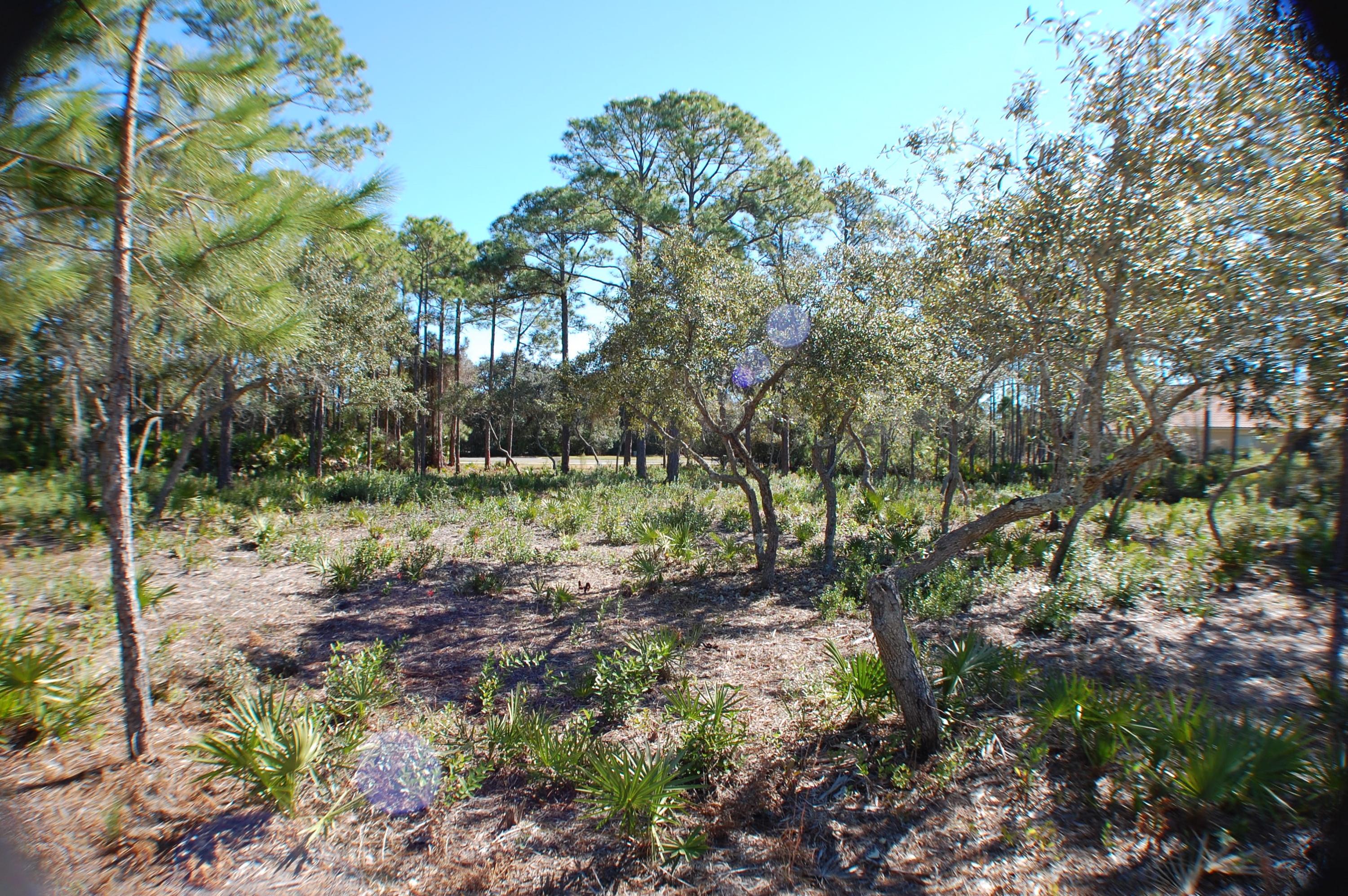 KELLY PLANTATION S/D - Land