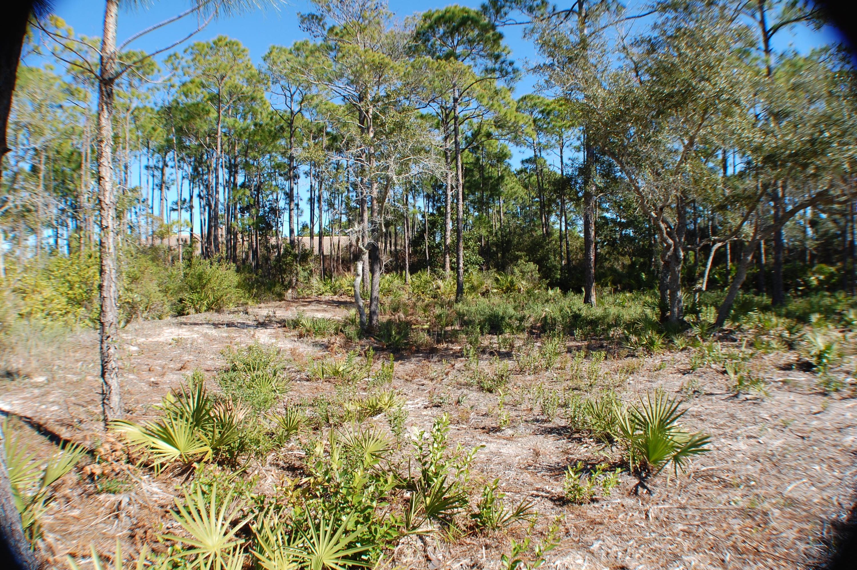 KELLY PLANTATION S/D - Land