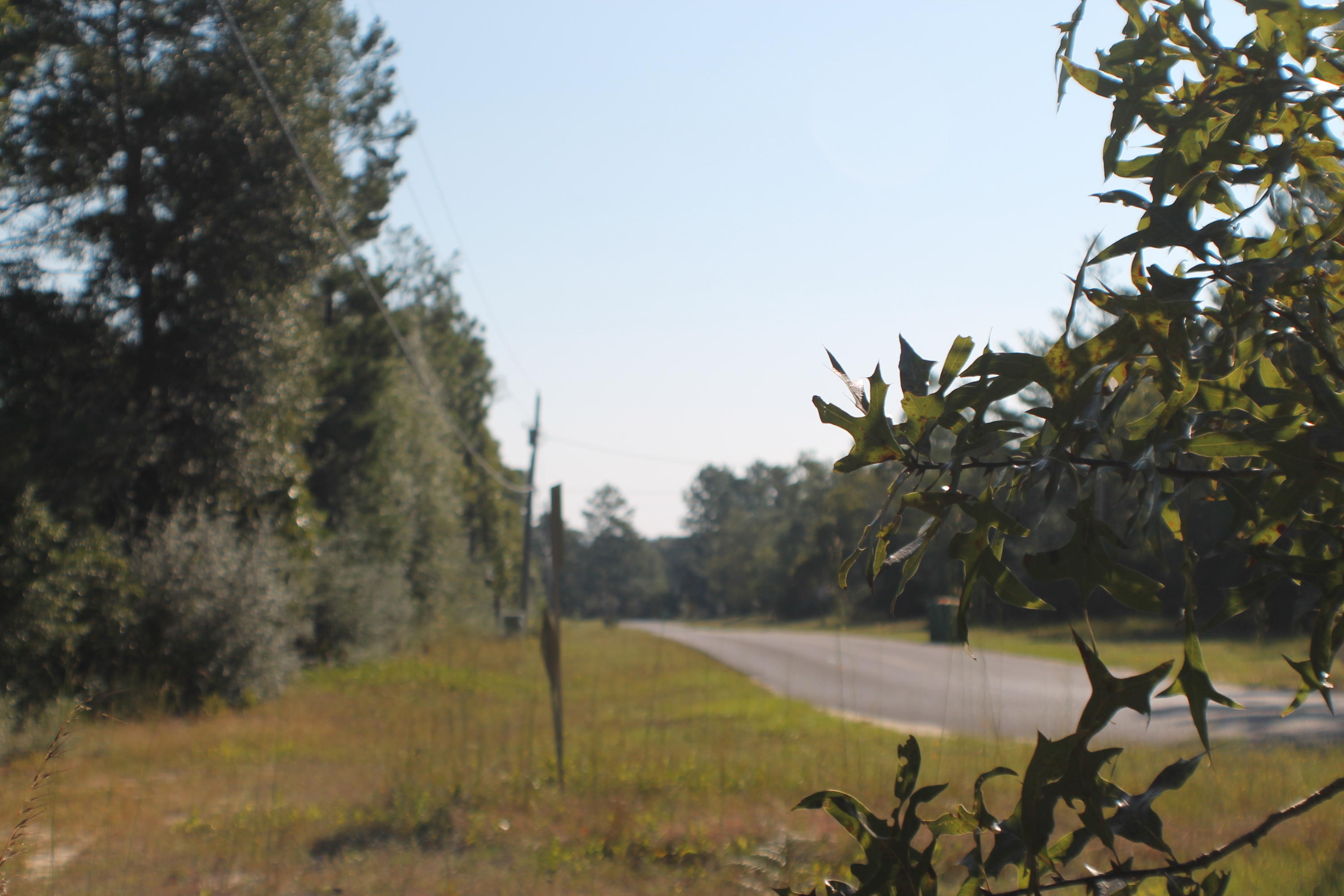 METES & BOUNDS - Land