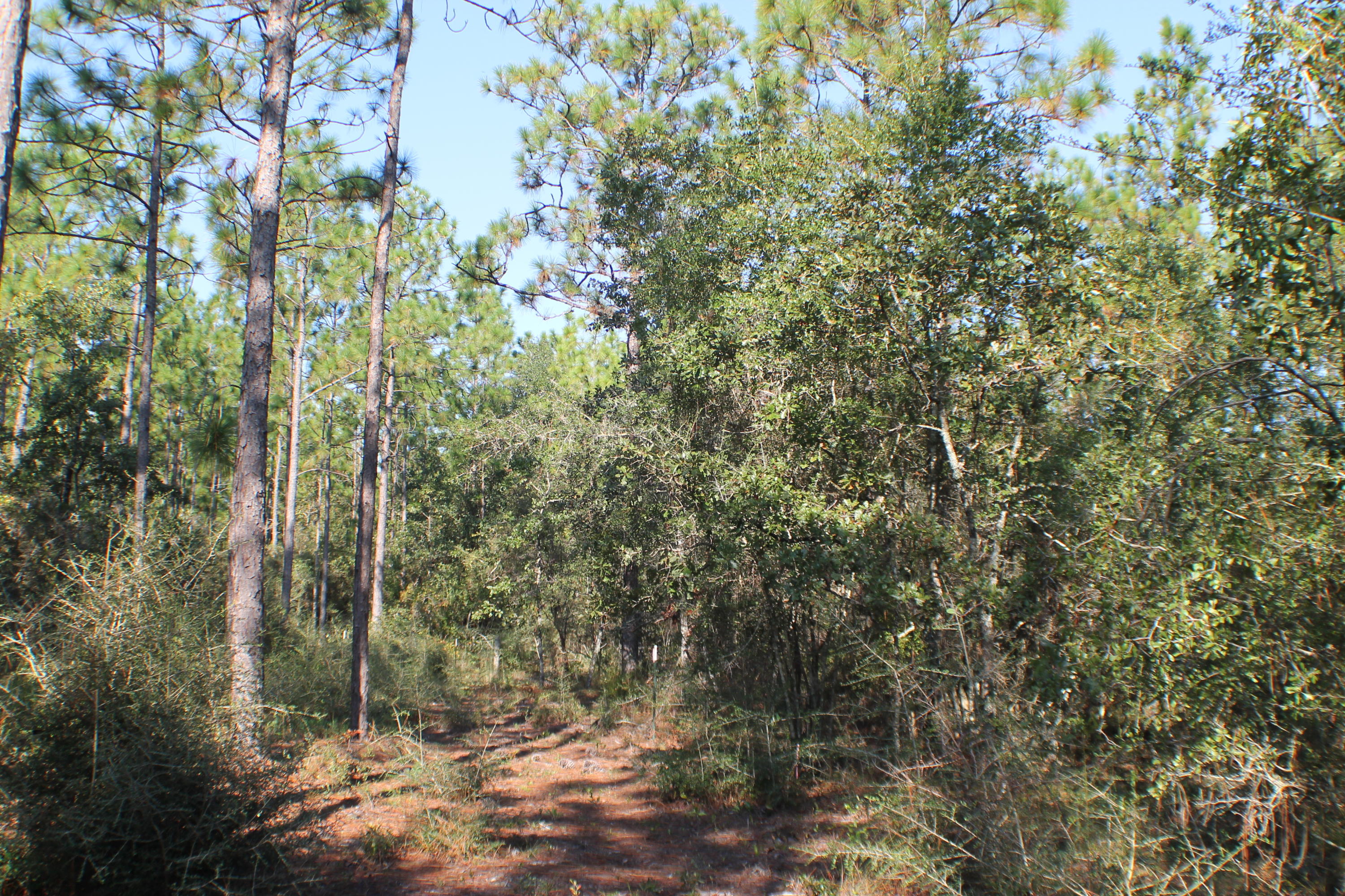 METES & BOUNDS - Land