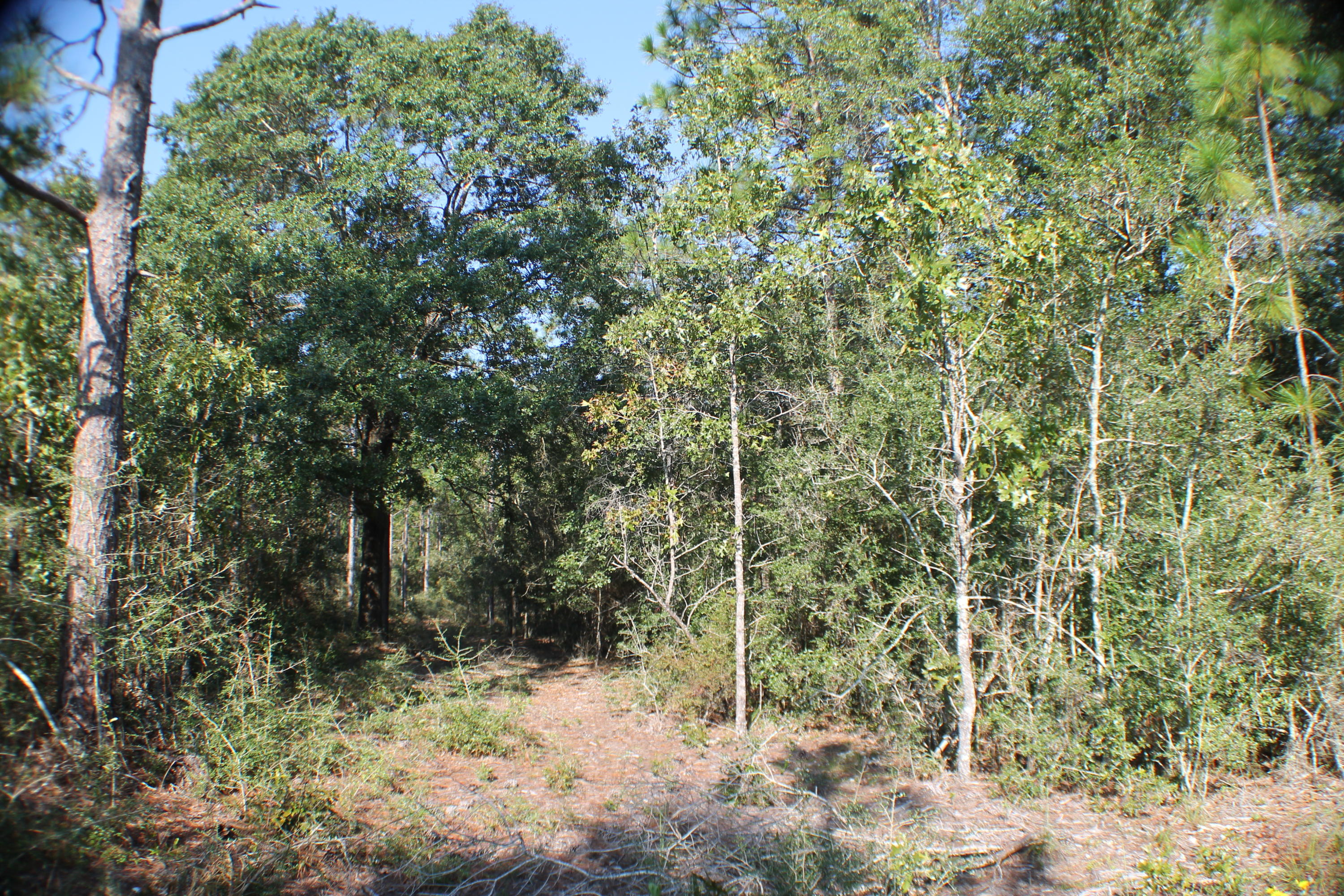 METES & BOUNDS - Land