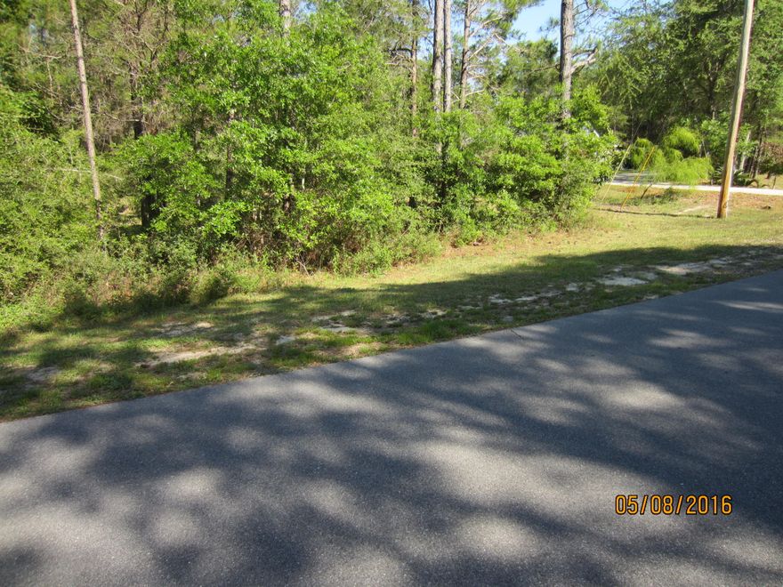 Residential single family lot on a paved street. No build-out time requirement. There is no HOA fees. Great opportunity to own a large lot that will accommodate a large home. Public water available. Bring you boat also as there are convenient places to launch. Great fishing on Black Creek and surrounding waterways. Only minutes from the Beach and Choctawhatchee Bay.