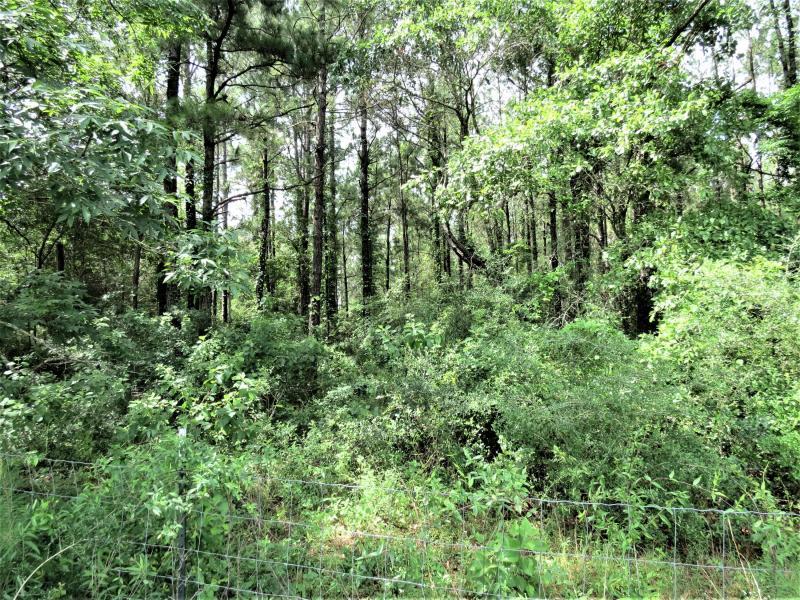 METES & BOUNDS - Land