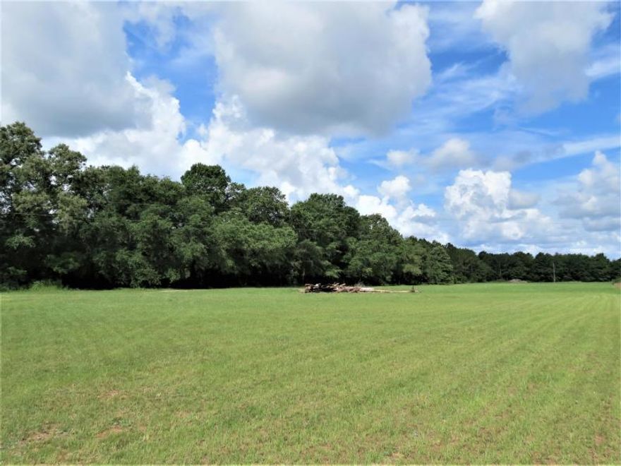 Are you looking to get away from the busy loud city? Well here is your 2.34+/- acres of serene country getaway!!! Come listen to the birds chirp in the morning, the deer cross your yard, and the distant call of turkey in the background. You can't beat country living with convenience wrapped in! An easy commute to all your local bases, gorgeous white sandy beaches, and Destin Shopping. Surveys Available.