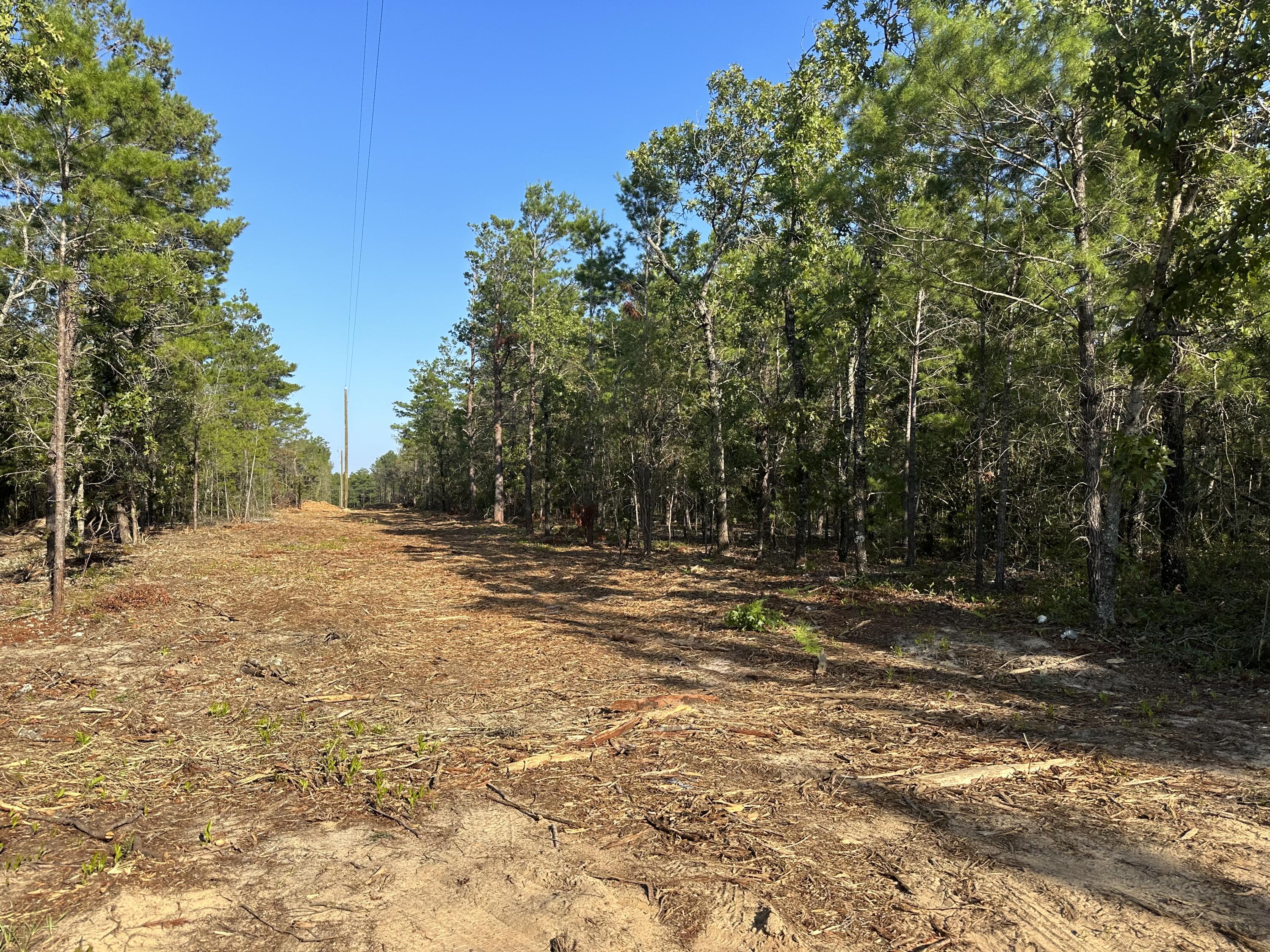 TRIPLE LAKES ESTATES - Land