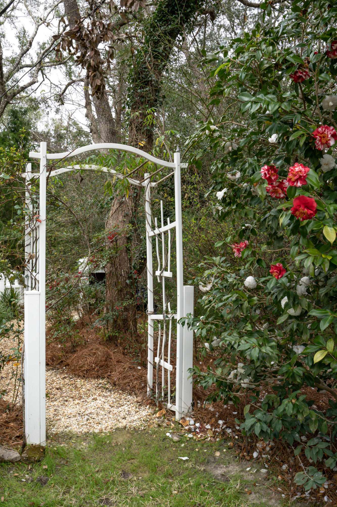 LAKE SHARON ESTATES - Residential