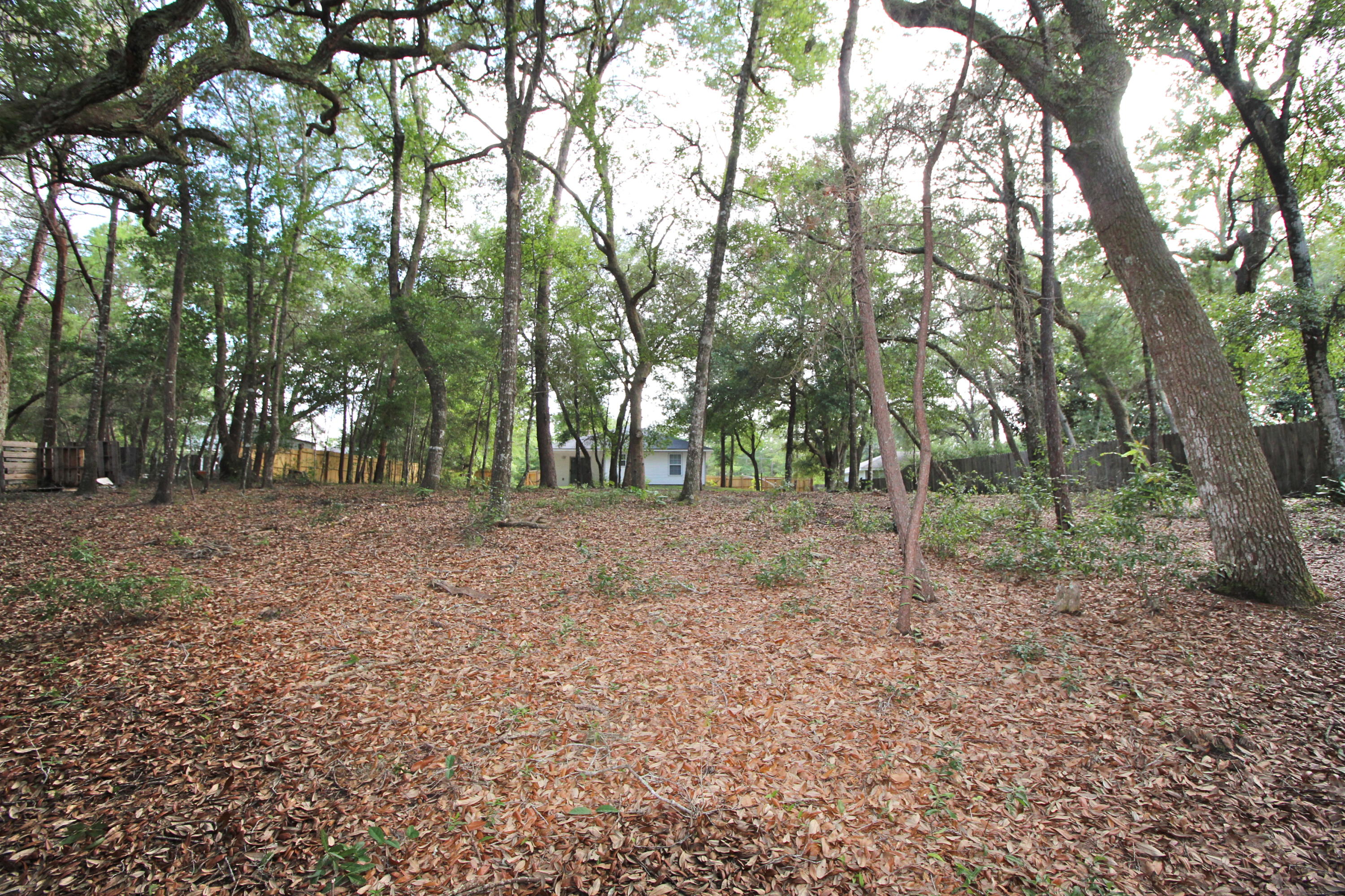 Magnolia Landing - Residential