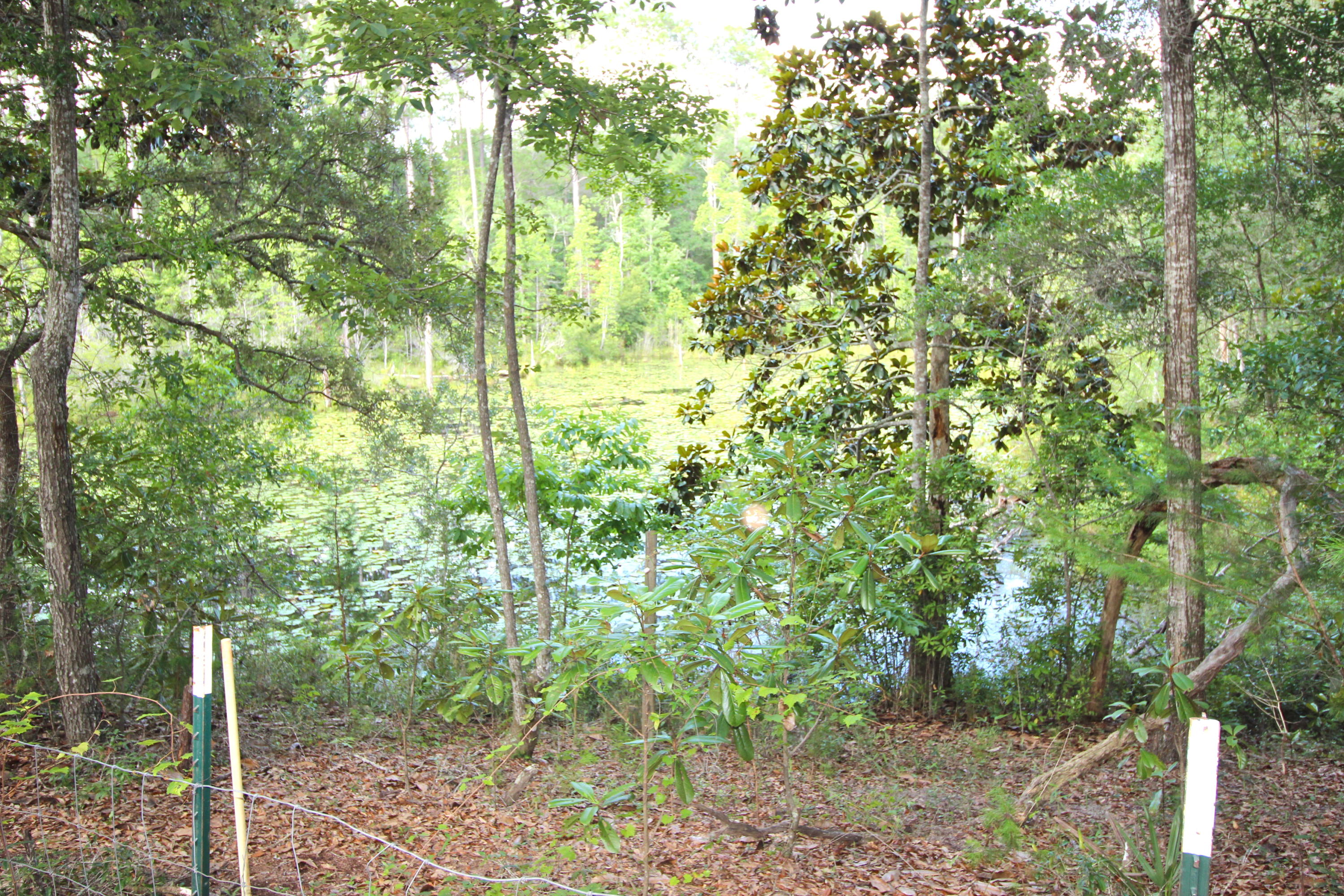 Magnolia Landing - Residential