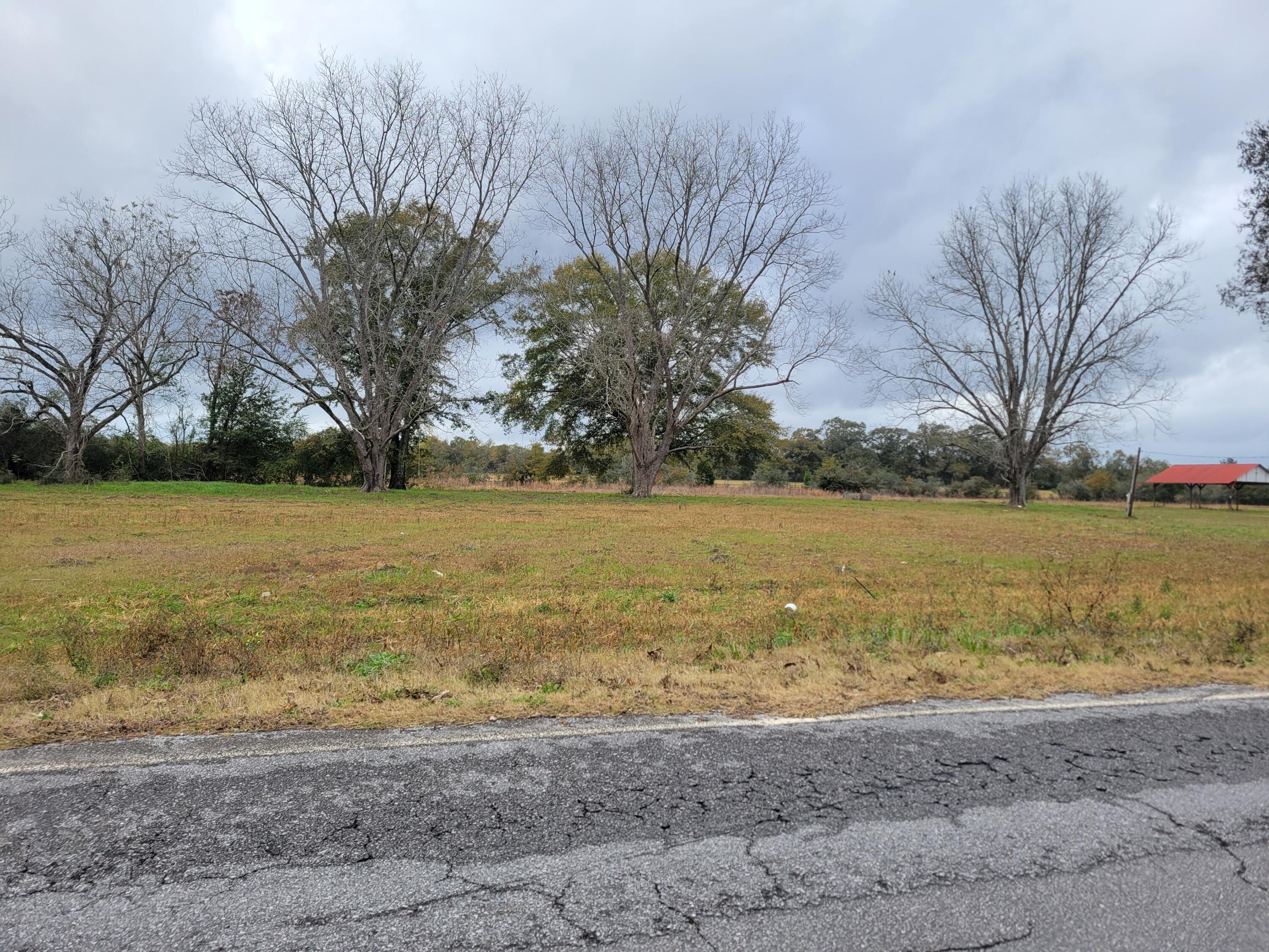 Build your homestead or mini ranch on this is it 16 acres completely cleared land just 8 1/2 miles north of DeFuniak Springs.  This property offers peace and tranquility.  It is situated on a paved road which is a big plus for rural living in North Walton County.  Power pole has already been permitted and address given to this parcel.  Electricity is available, it will require a well and septic tank.  From this location you can entertain guest or family at  Lake Jackson which is a matter of 15 minutes away to the north of this property.  Enjoy boating, fishing, skiing and picnic areas.  Other good news is the sand white beaches are appx. 45 minutes south of this location. Put this property on your must see list and bring your house plans. NO HOA.