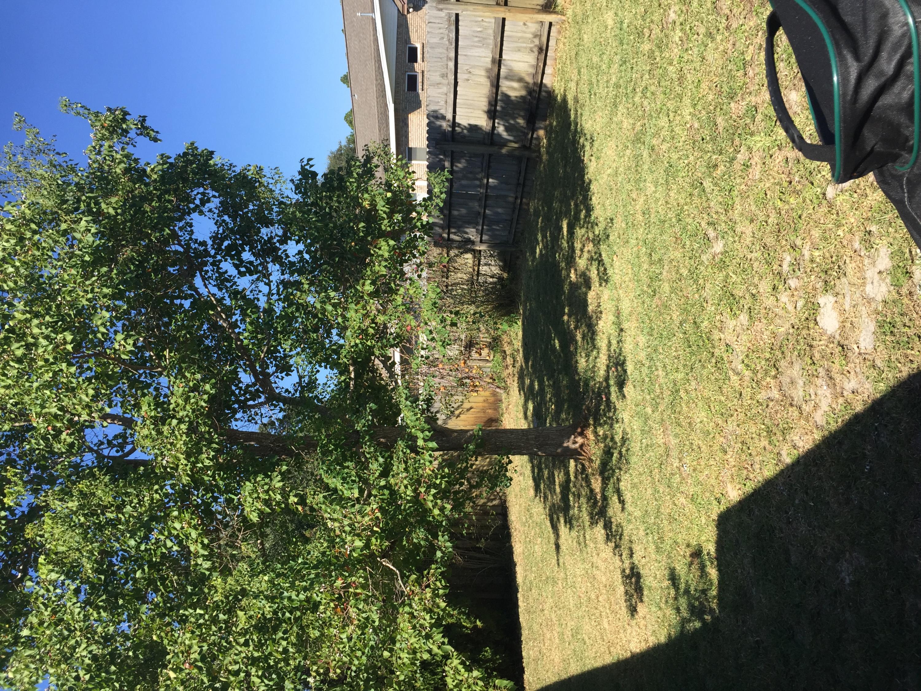 CHATEAU PRES DE LA MER - Residential