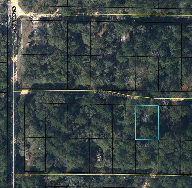 Wooded lot, great getaway spot for a temporary RV site. Walking distance to Choctawhatchee River. Lot not big enough for septic tank, no sewer available. Zoned Agriculture in Holmes County, FL. Owner is licensed FL real estate broker.