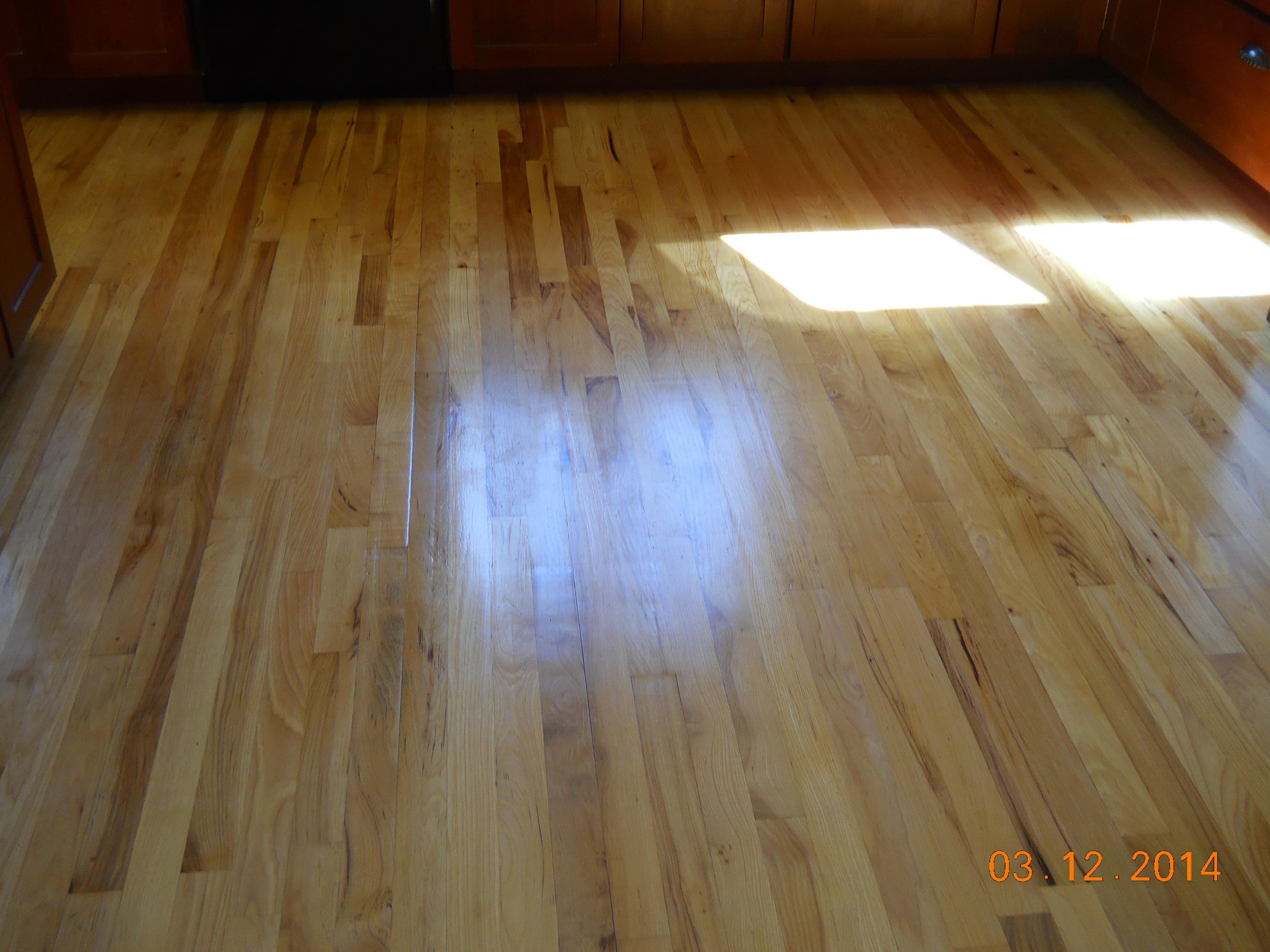 Happy Hollow - Residential Lease