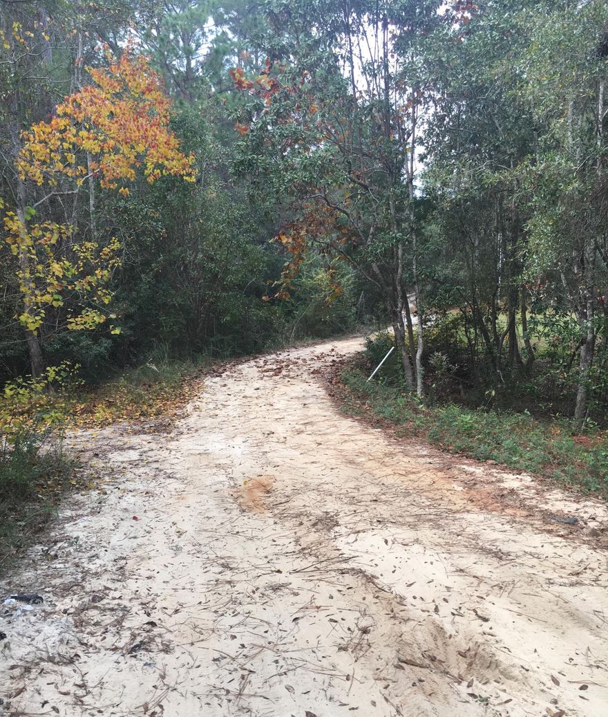 REO. List price: $76,500.00 Diamond in the rough. This home sits on 3.43 acres on Lakes Largo. This quiet street is home to large lot parcels and offers a serene, country like setting. Home has 3 bedrooms and 2 full bath with a side entry 2 car garage. Needs work and is being sold as-is. Bank of America, NA employees, household members and HTS business partners of the bank are prohibited from purchasing this property, whether directly or indirectly. Call agent for details.