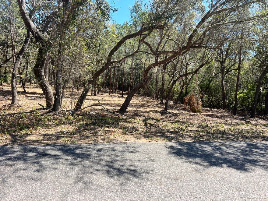 Discover the perfect place to build your dream home on this beautiful 1.2 acre vacant lot located near public utilities and convenient access points. This spacious property offers the ideal blend of open, buildable land and natural Florida beauty, with approximately 0.35 acres of serene wetlands adding privacy and a peaceful backdrop.The majority of the lot is high and dry, giving you plenty of room to design your custom home, add outdoor living spaces, or create the layout you've always envisioned. With utilities nearby, this property is ready for your builder and your plans.Whether you're looking for a future homesite, an investment, or a private getaway, this lot offers endless possibilities.Key Features: Total lot size: 1.2 acres Approximately 0.35 acres of natural wetlands " Public utilities nearby
" Ready-to-build homesite
" Peaceful setting with natural surroundings
" Ideal for a custom single-family home
Build the home you've always wanted--spacious, private, and surrounded by nature.
