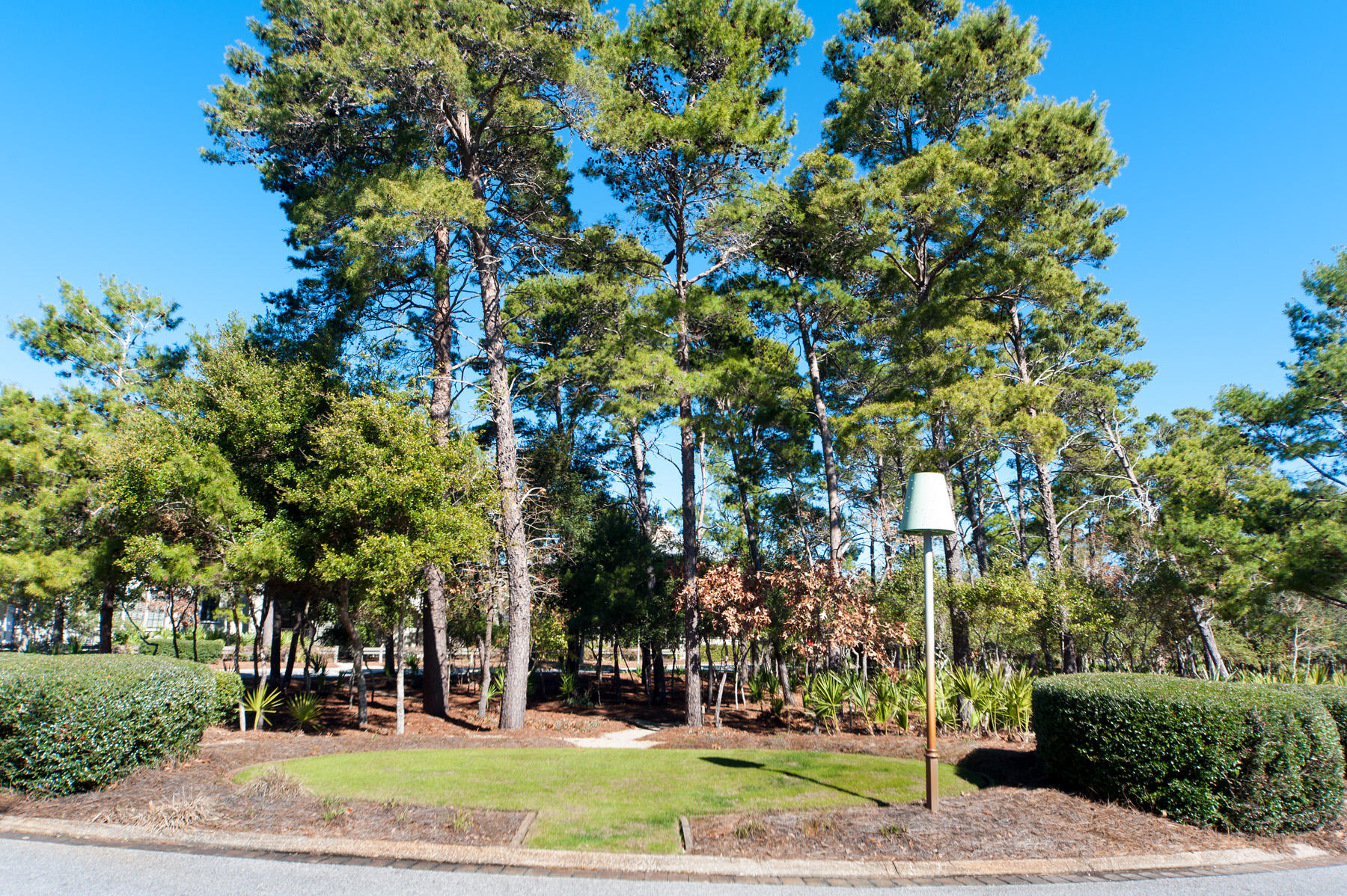 WATERCOLOR - Residential