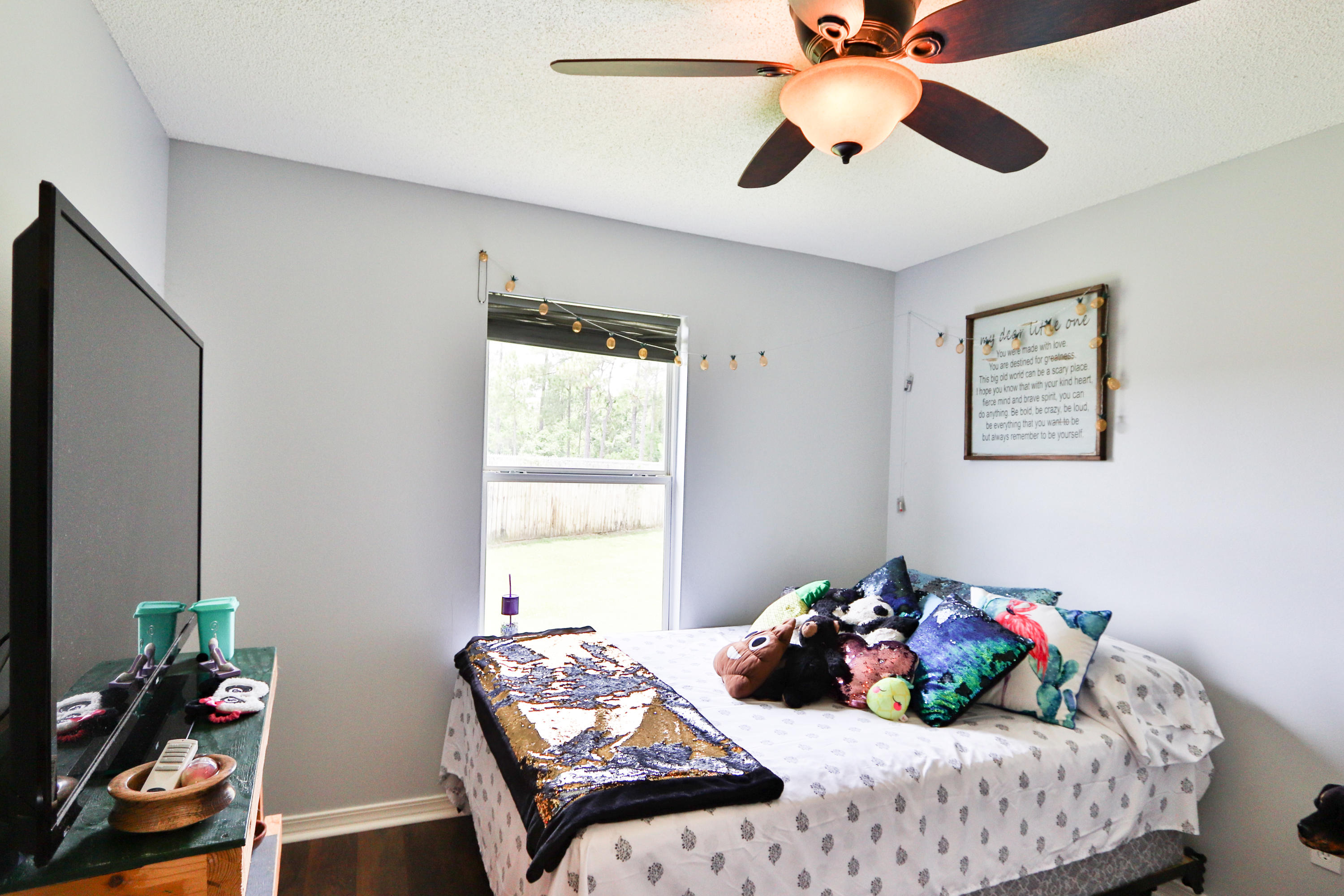 PROMISE CREEK - Residential