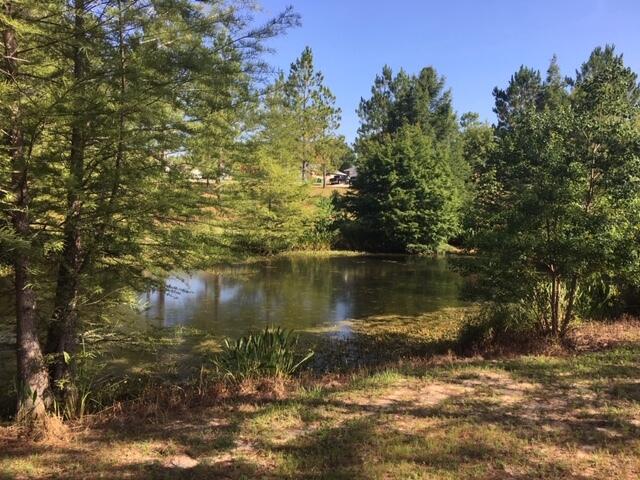 SILVER OAKS PH 2 - Residential