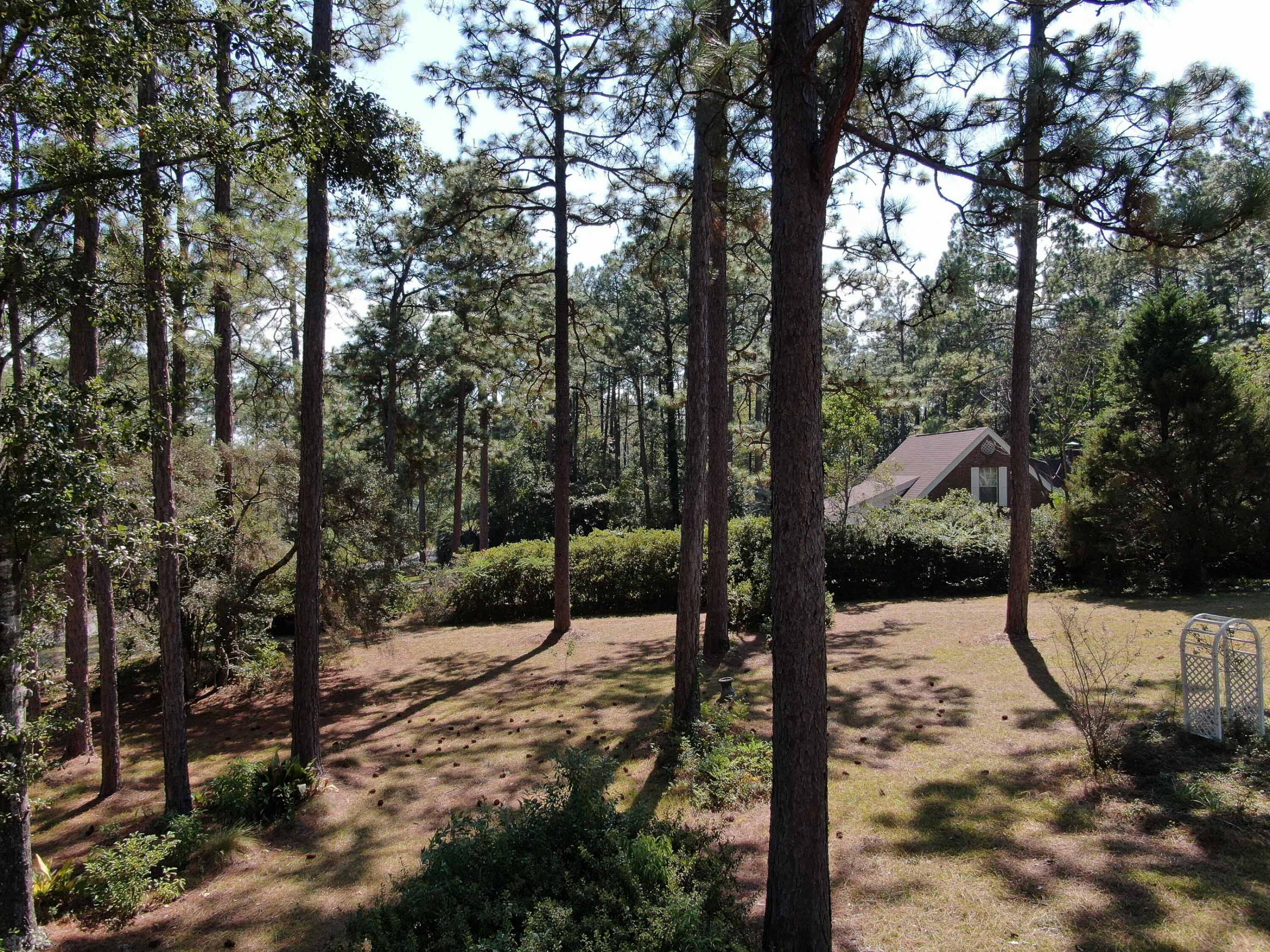 PINE SHORES - Residential