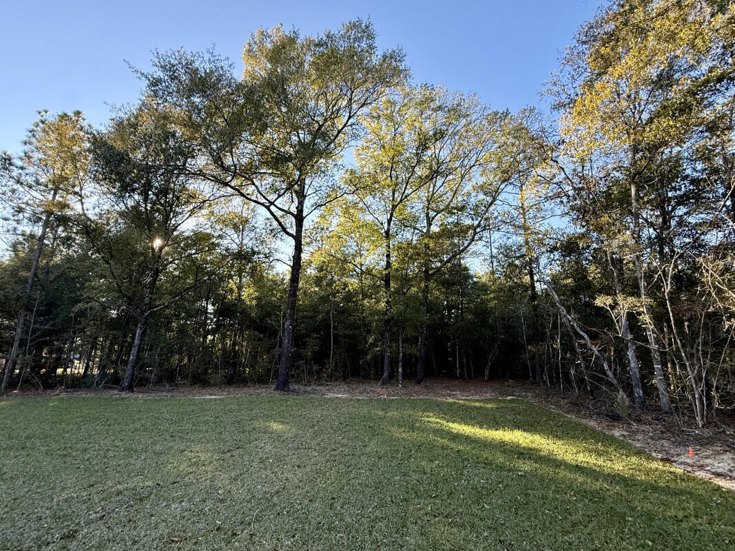 HIDDEN SPRINGS - Residential