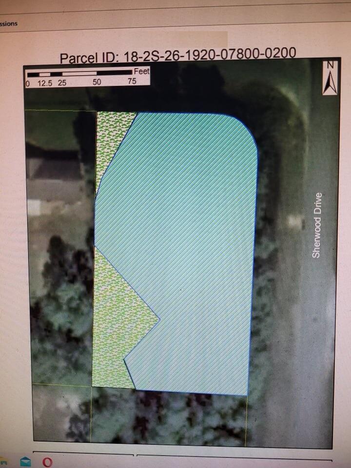 HOLLEY BY THE SEA - Land