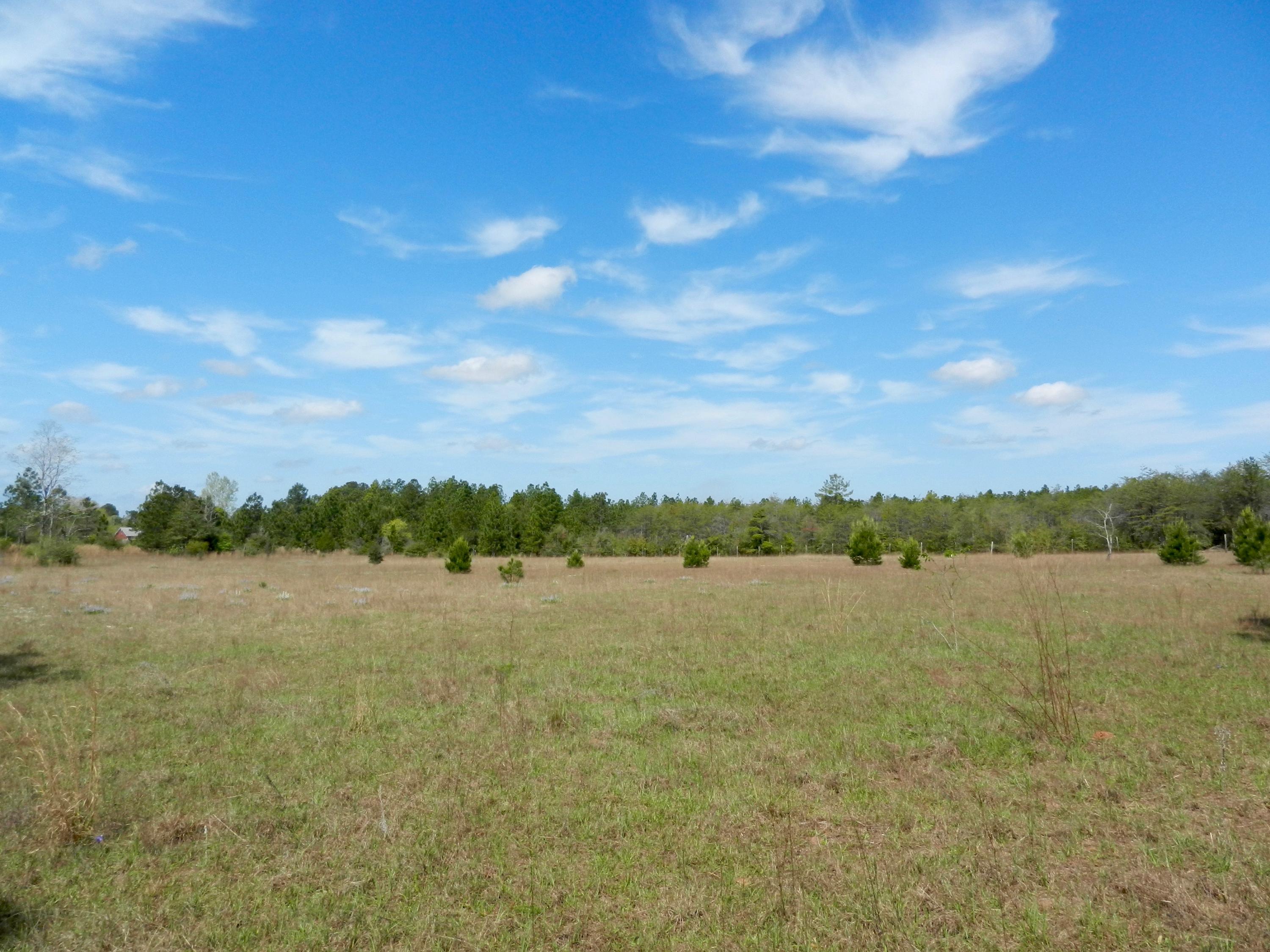 NORTHFORK RANCHETTES - Residential